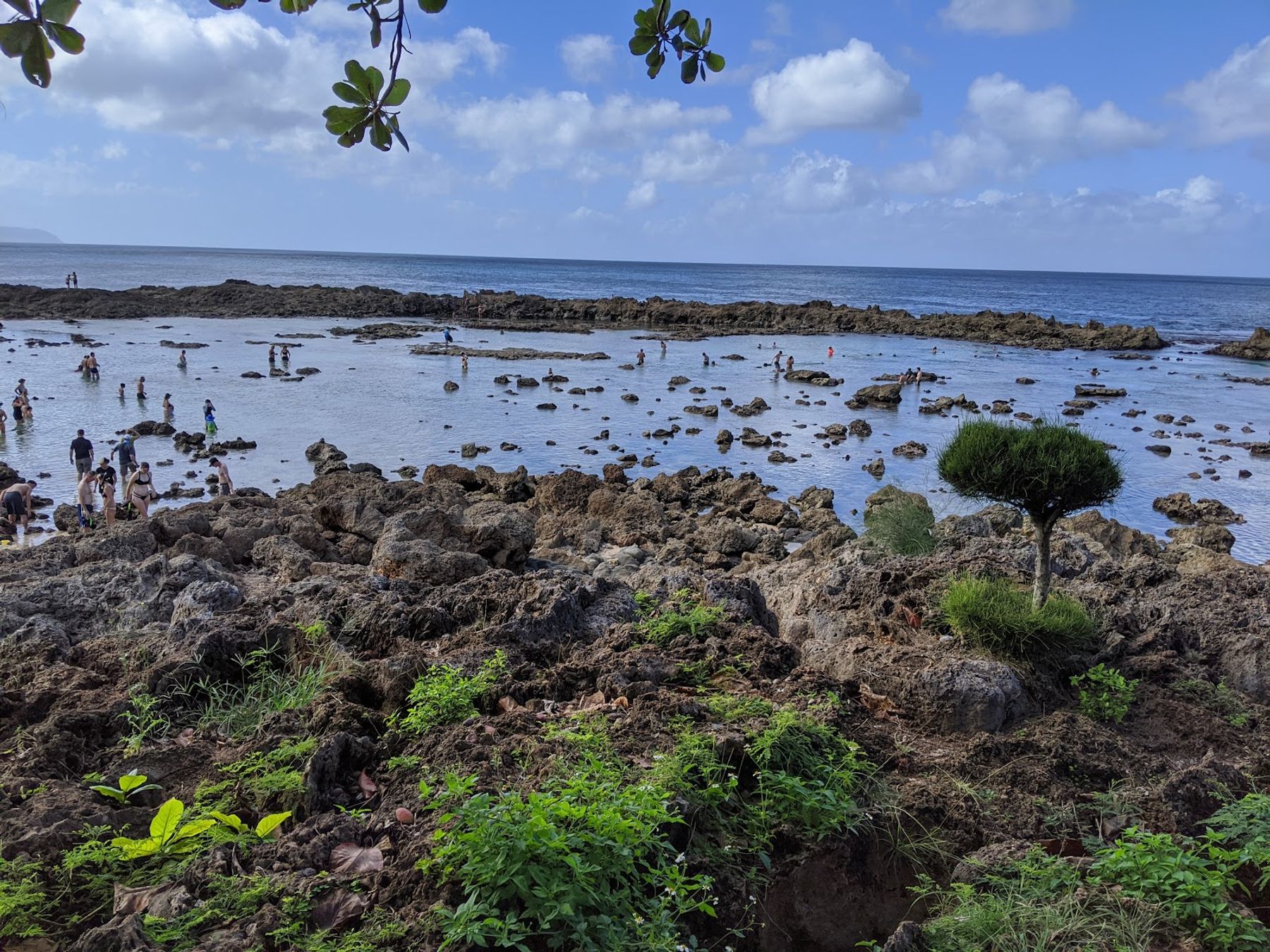 Photo 6 of Shark’s Cove in Pūpūkea, Oahu
