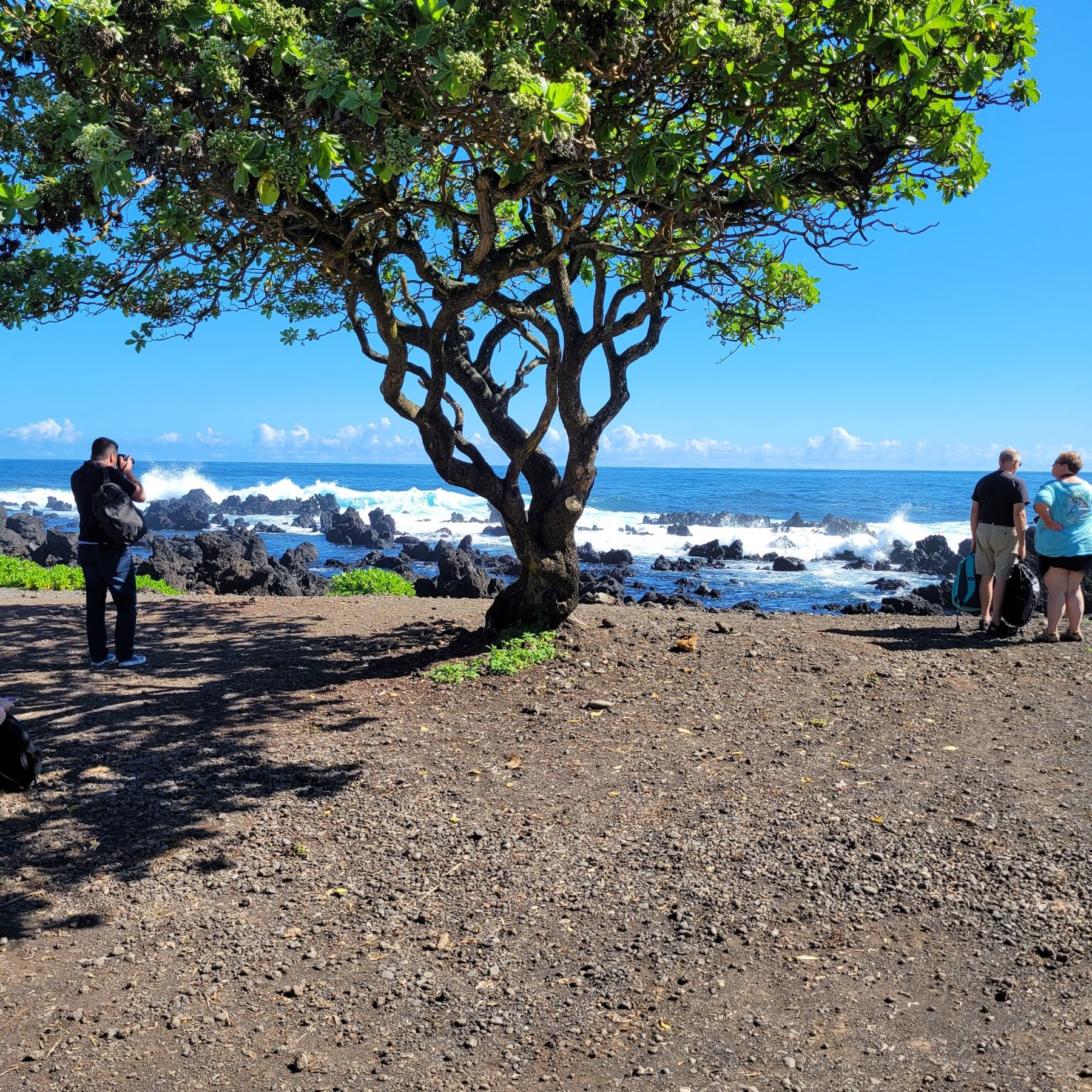 Photo 3 of Keanae Lookout in Keʻanae-Nāhiku, Maui