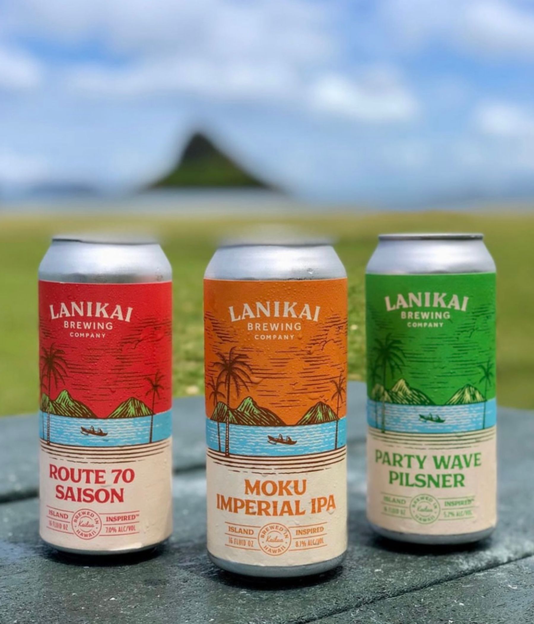 Photo 6 of Lanikai Brewing Company in Kailua & Lanikai, Oahu
