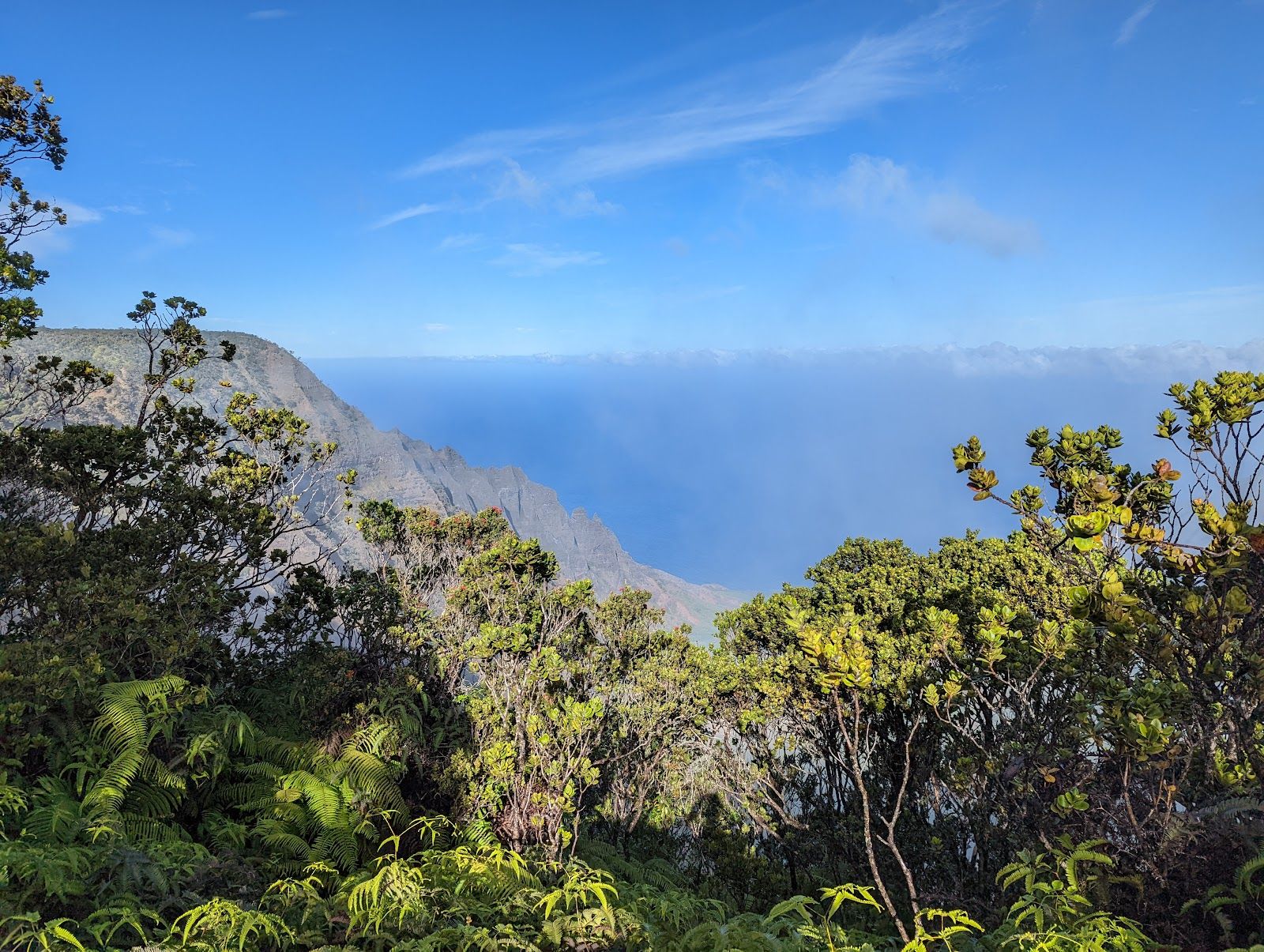 Awaʻawapuhi Trail in Waimea, Kaua‘i