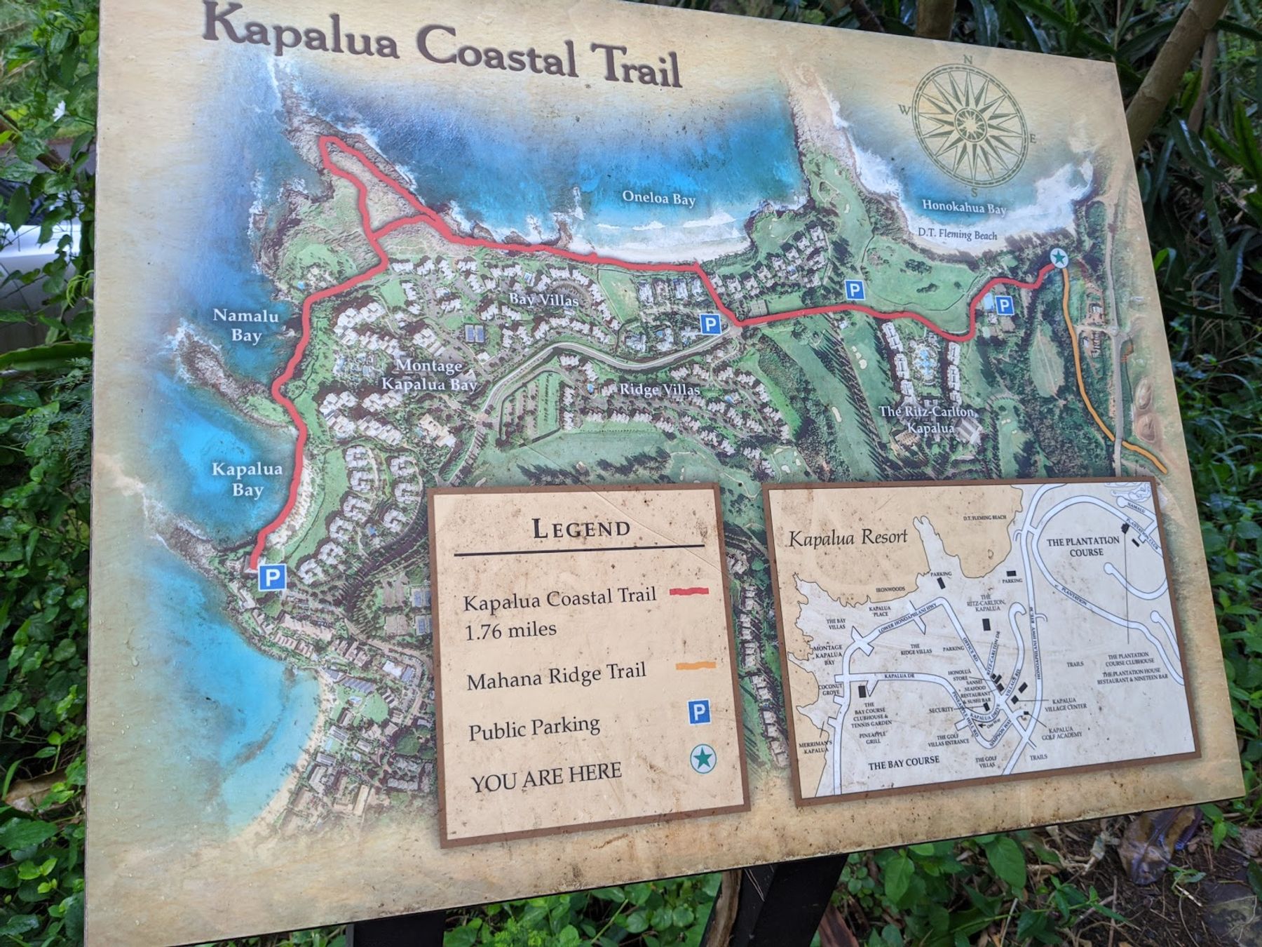 Photo 4 of Mahana Ridge Trail in Kapalua, Maui