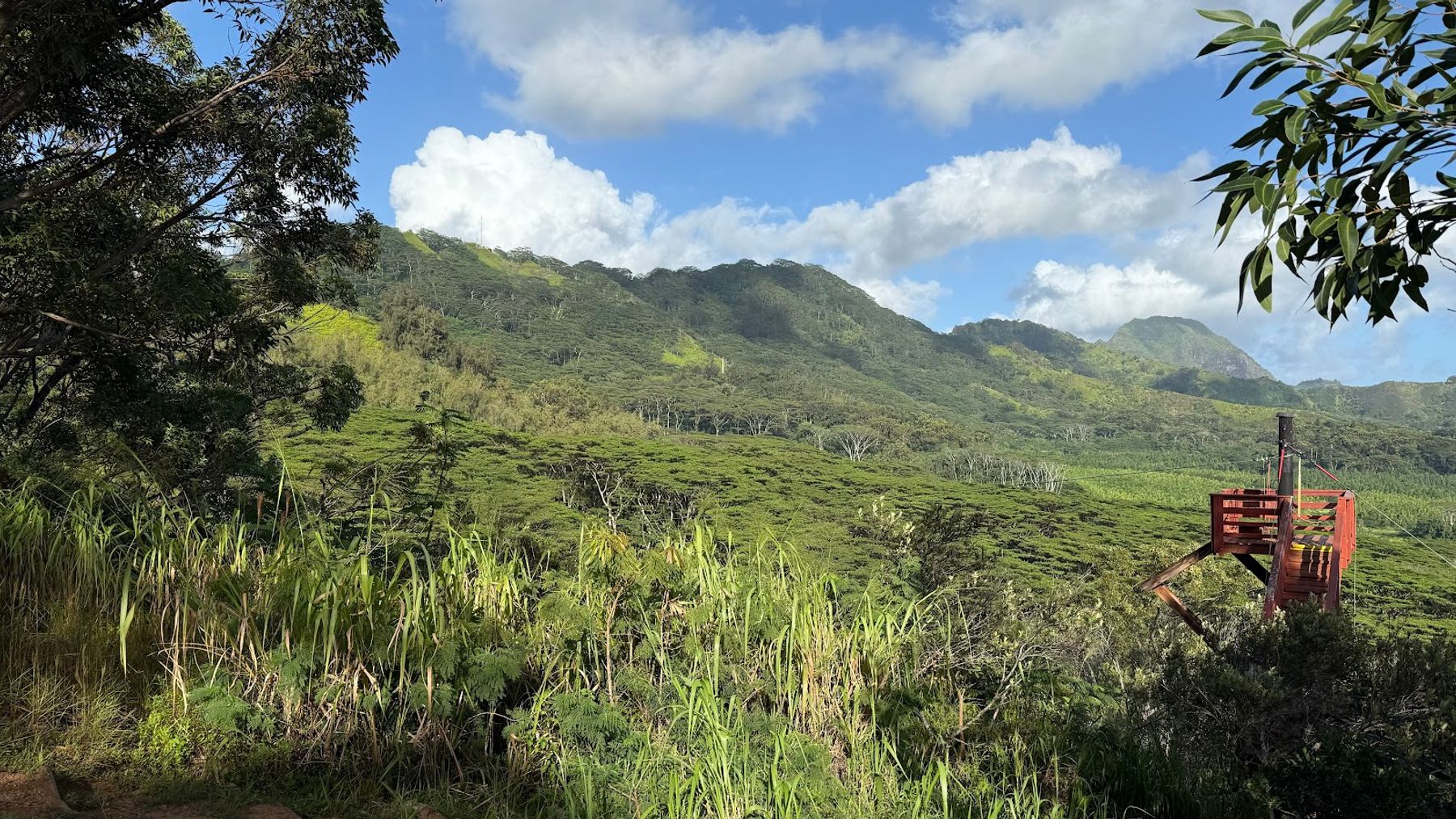 Koloa Zipline in Kōloa, Kaua‘i photo 5