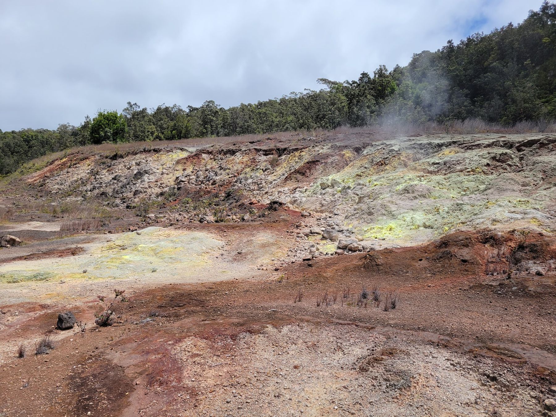Photo 6 of Steam Vents in Volcano, Big Island