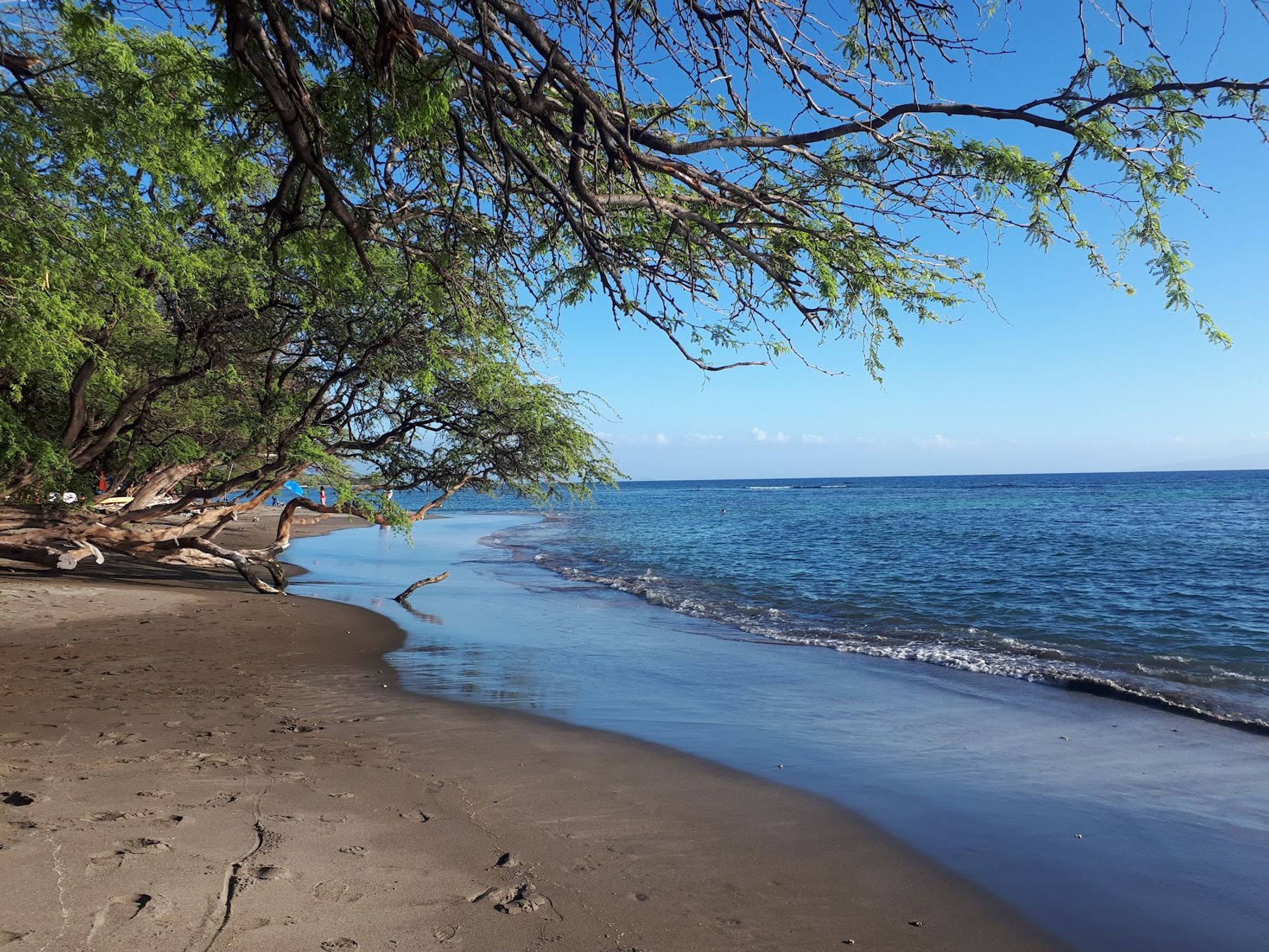 Photo 1 of Olowalu Beach in Olowalu, Maui