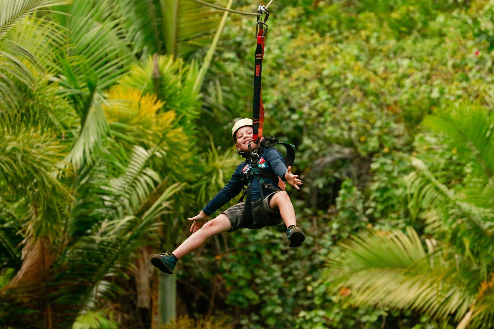 Photo 4 of Jungle Zipline Maui-HI in Haʻikū, Maui