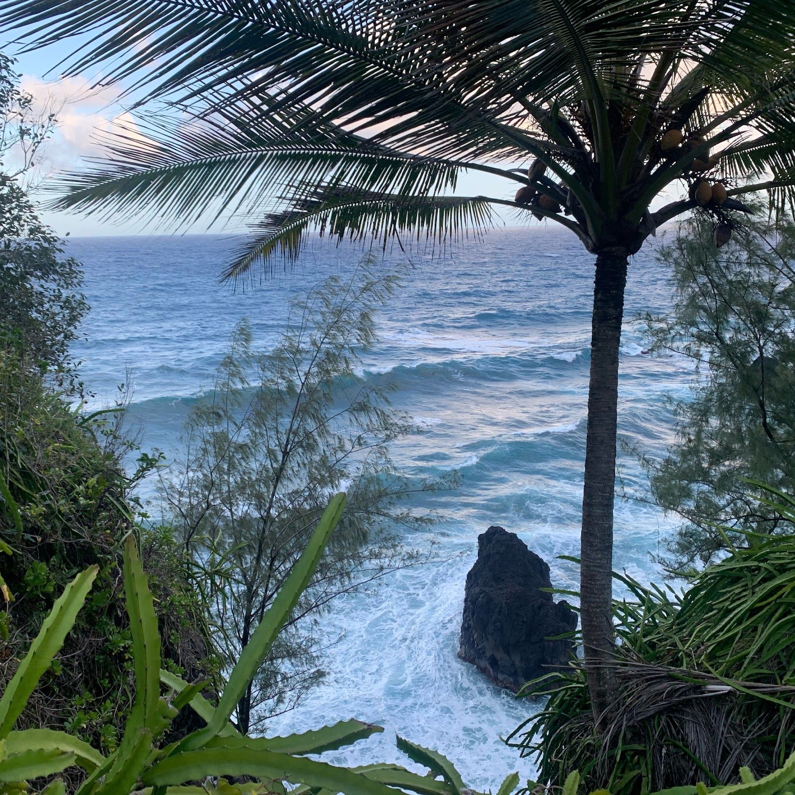 Photo 7 of Memorable Maui Tours in Wailea, Maui