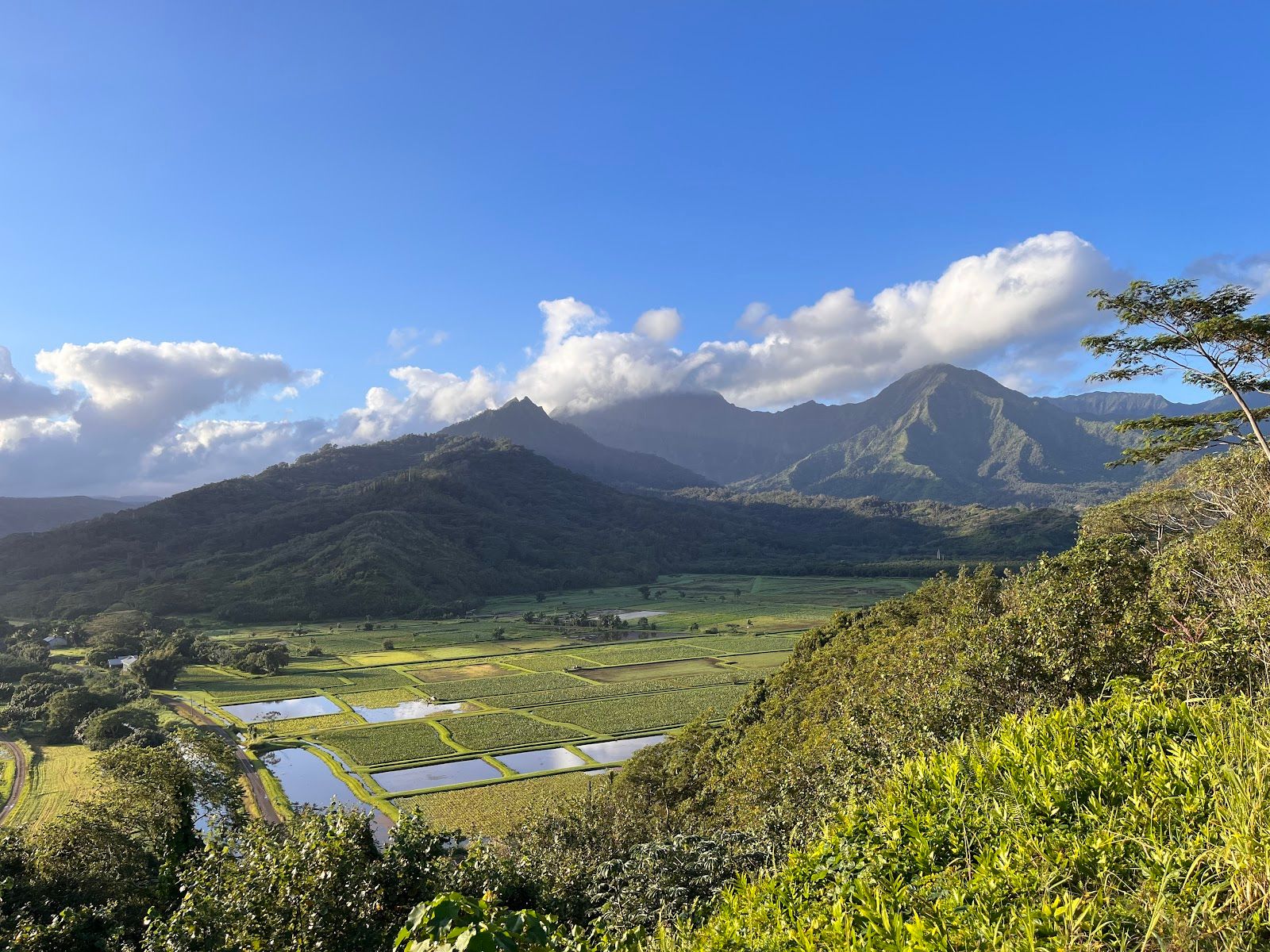 Hanalei Valley Lookout in Princeville, Kaua‘i photo 2
