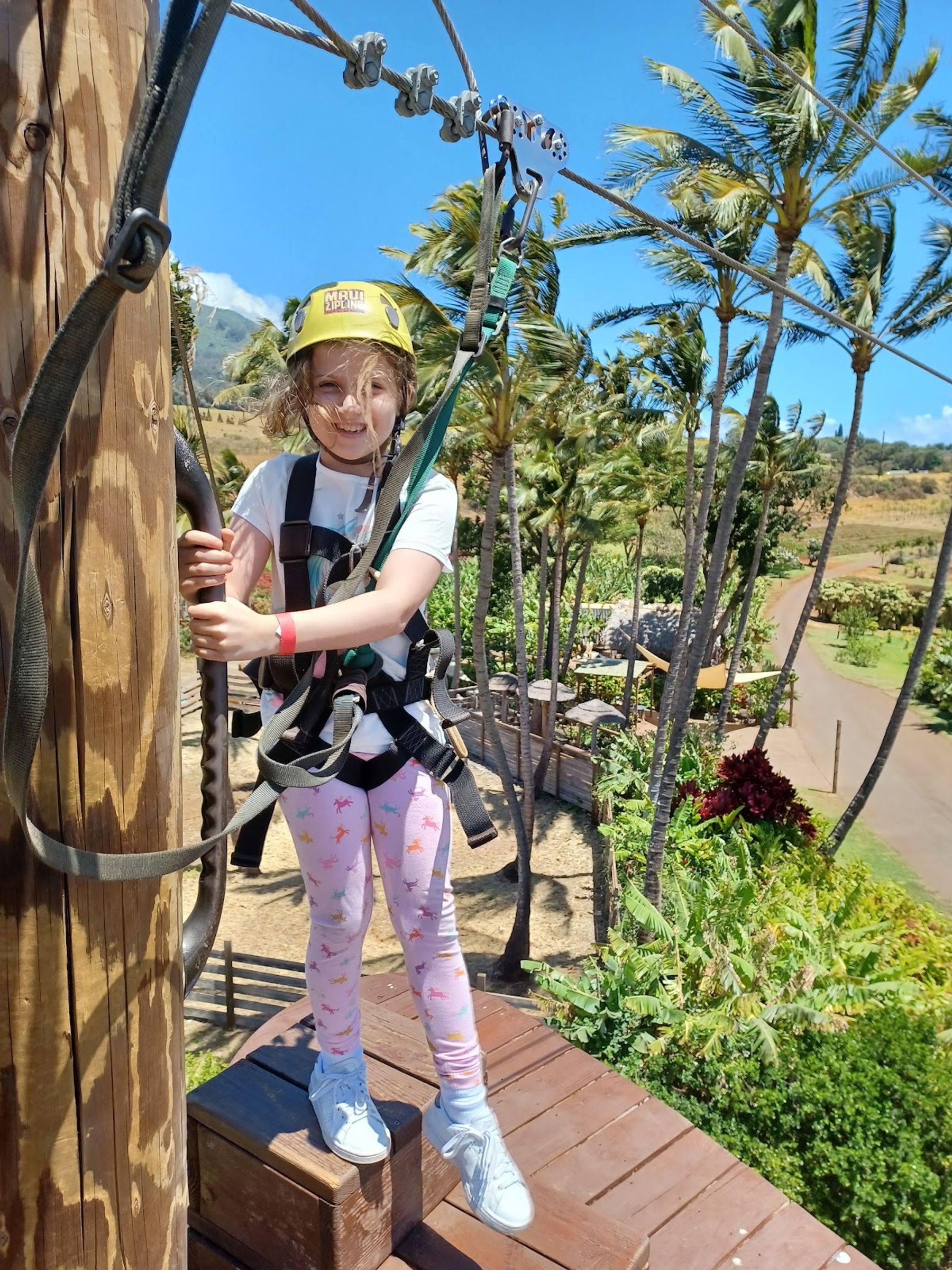 Photo 6 of Maui Zipline Company in Wailuku, Maui