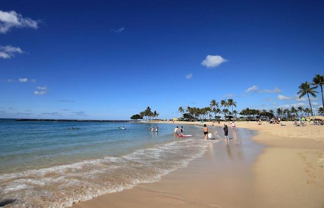 Beachgoers enjoy mild surf at a calm beach with palm trees in the background