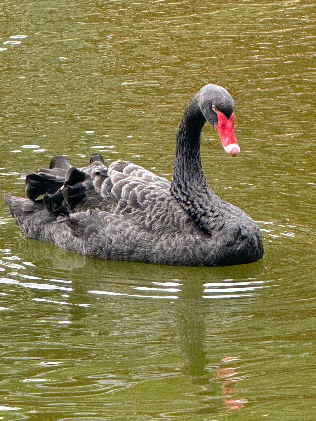 Photo 6 of Oahu Nature Tours in ʻEwa Beach, Oahu