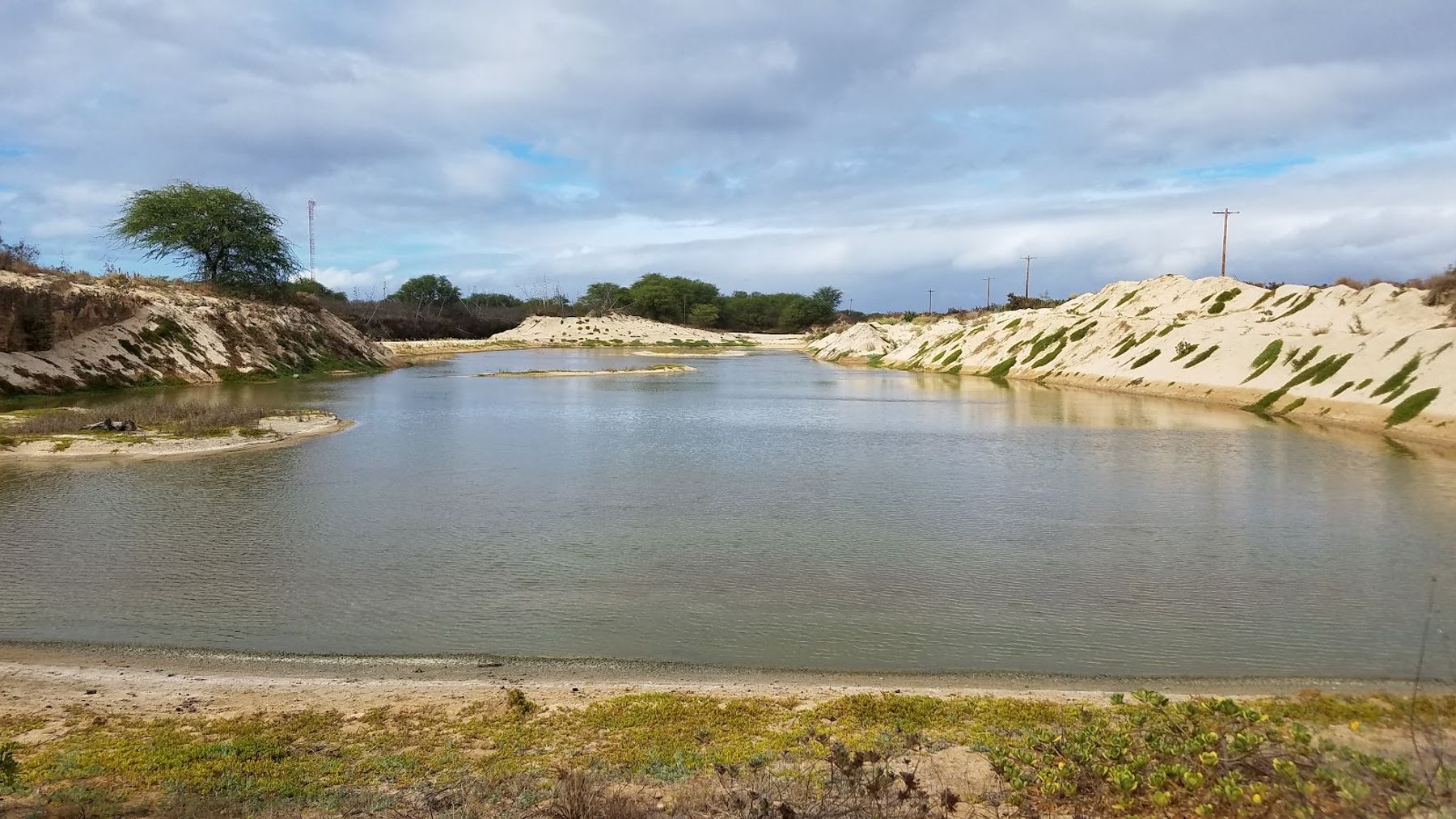 Kawaiʻele Waterbird Sanctuary in Kekaha, Kaua‘i photo 6