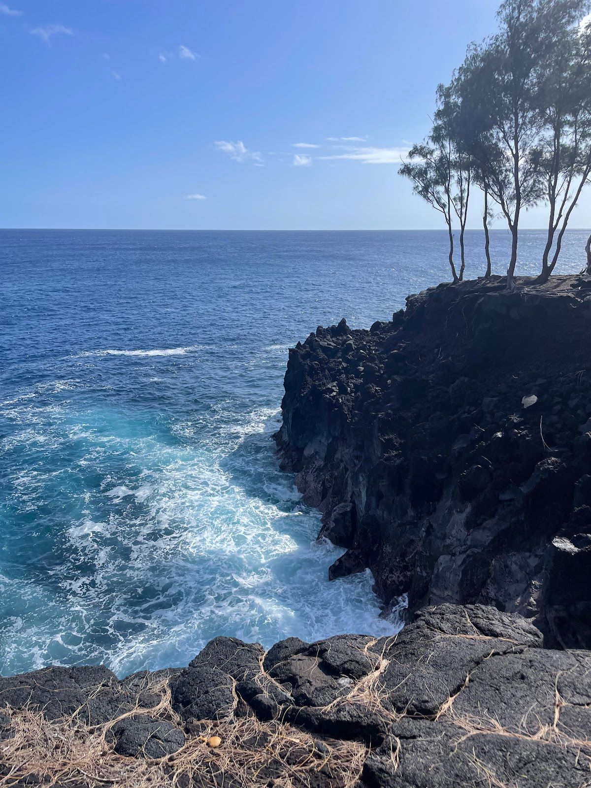 Photo 7 of MacKenzie State Recreation Area in Kalapana, Big Island