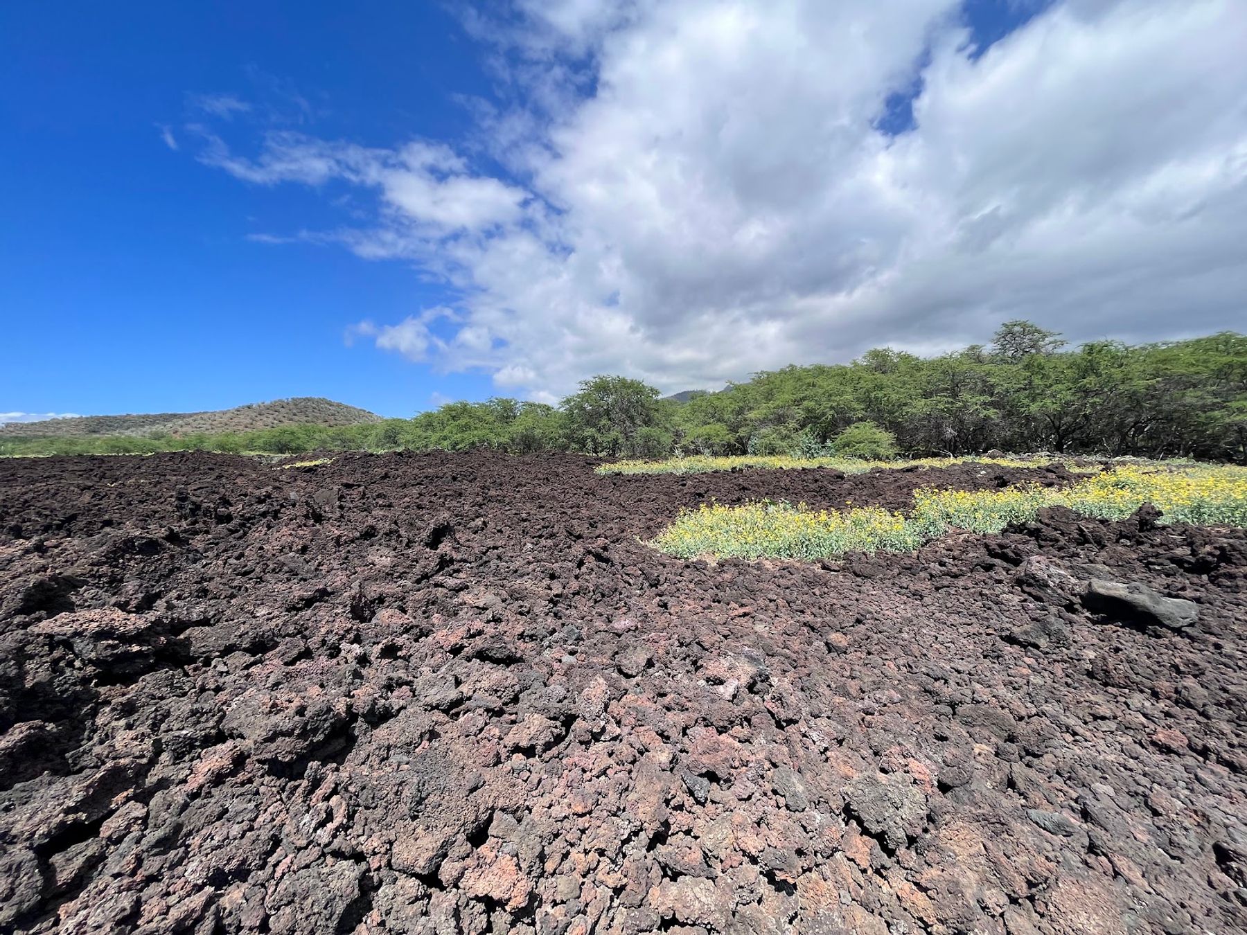 Photo 1 of Ahihi-Kinau Natural Reserve in Mākena, Maui