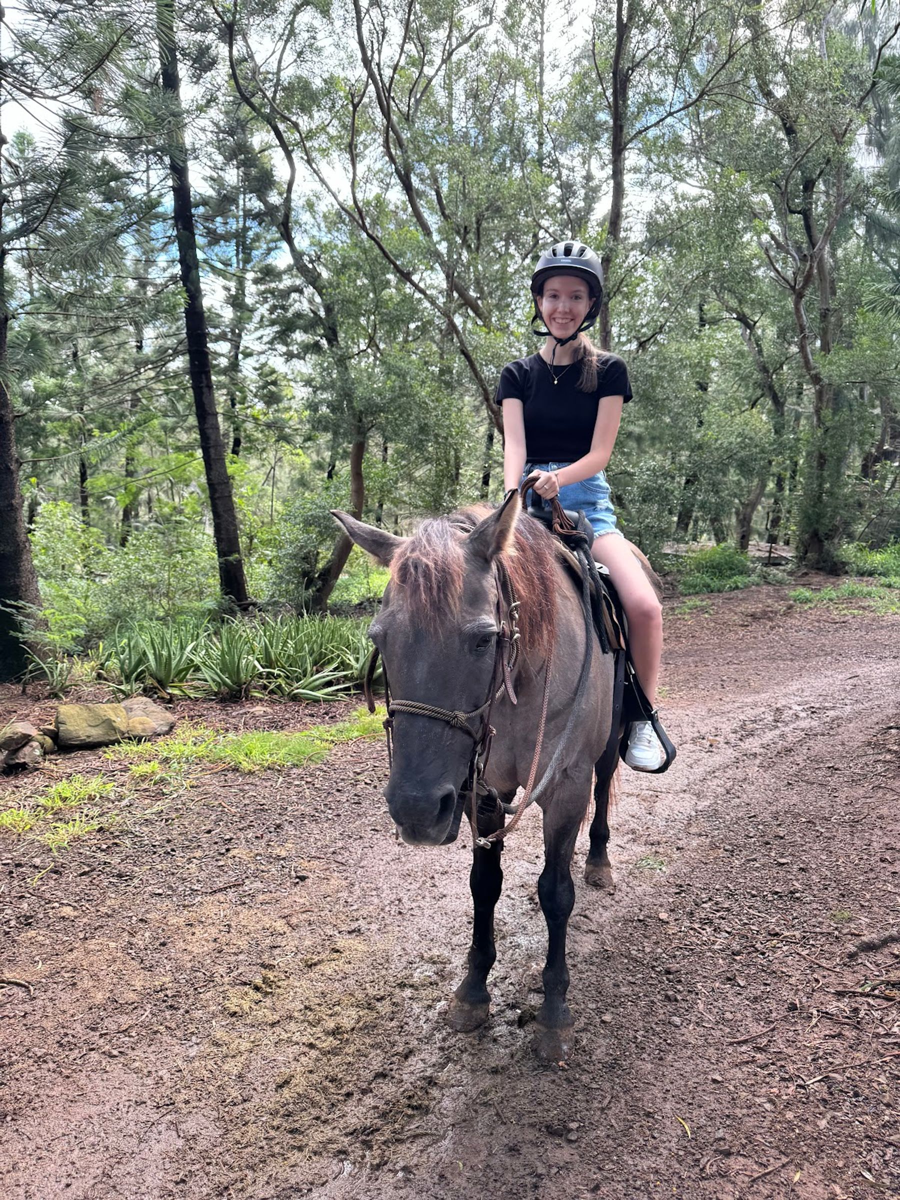 Photo 1 of Ironwood Ranch Horseback Riding in Kapalua, Maui