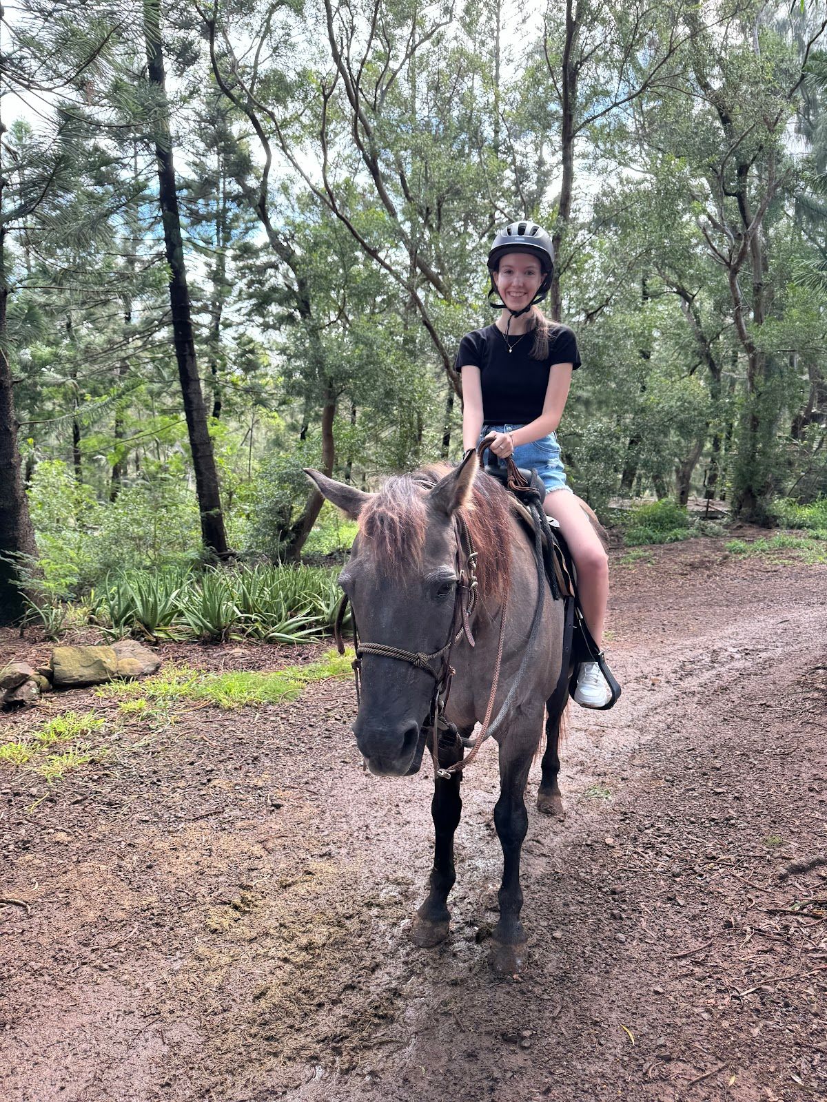 Photo 1 of Ironwood Ranch Horseback Riding in Kapalua, Maui