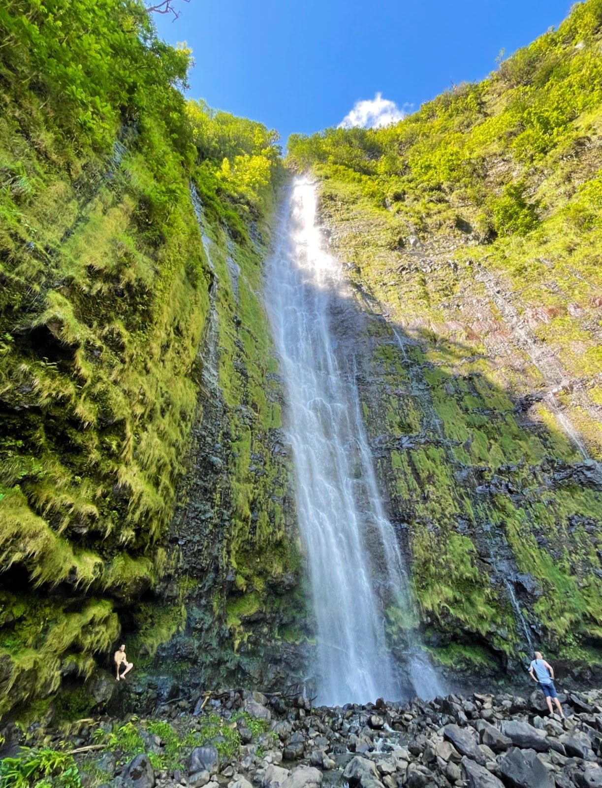Photo 2 of Waimoku Falls in Kīpahulu & Kaupō, Maui