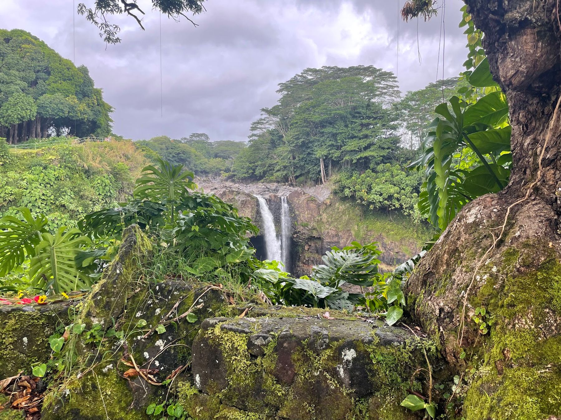 Photo 1 of Polynesian Adventure Tours in Hilo, Big Island