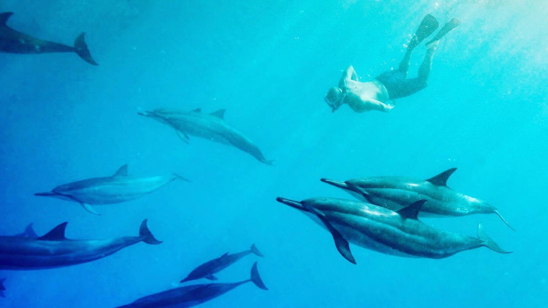 Photo 1 of Kona Manta Ray Night Snorkel Tours in Kailua-Kona, Big Island