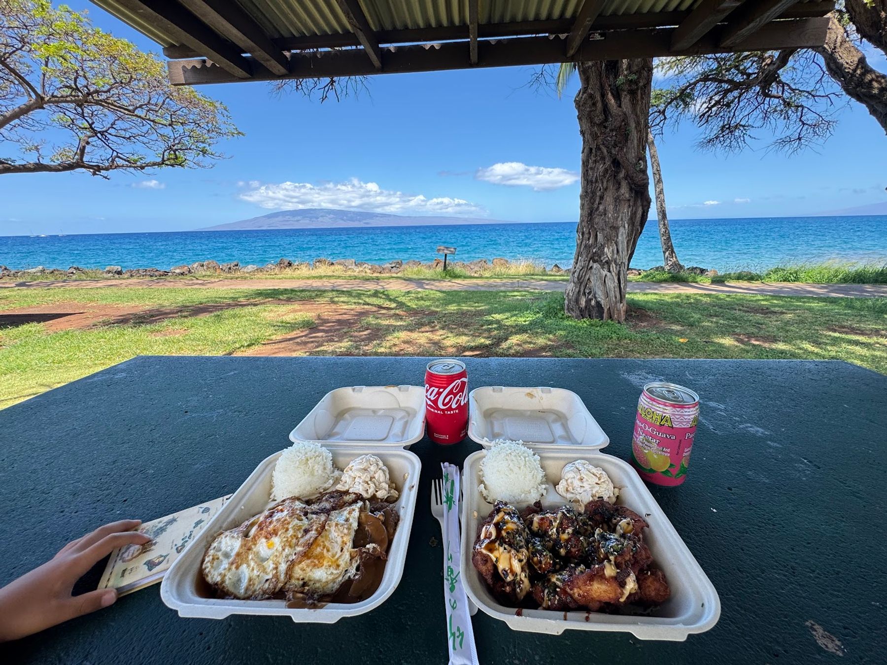 Photo 8 of Aloha Braised (food truck) in Lāhainā, Maui