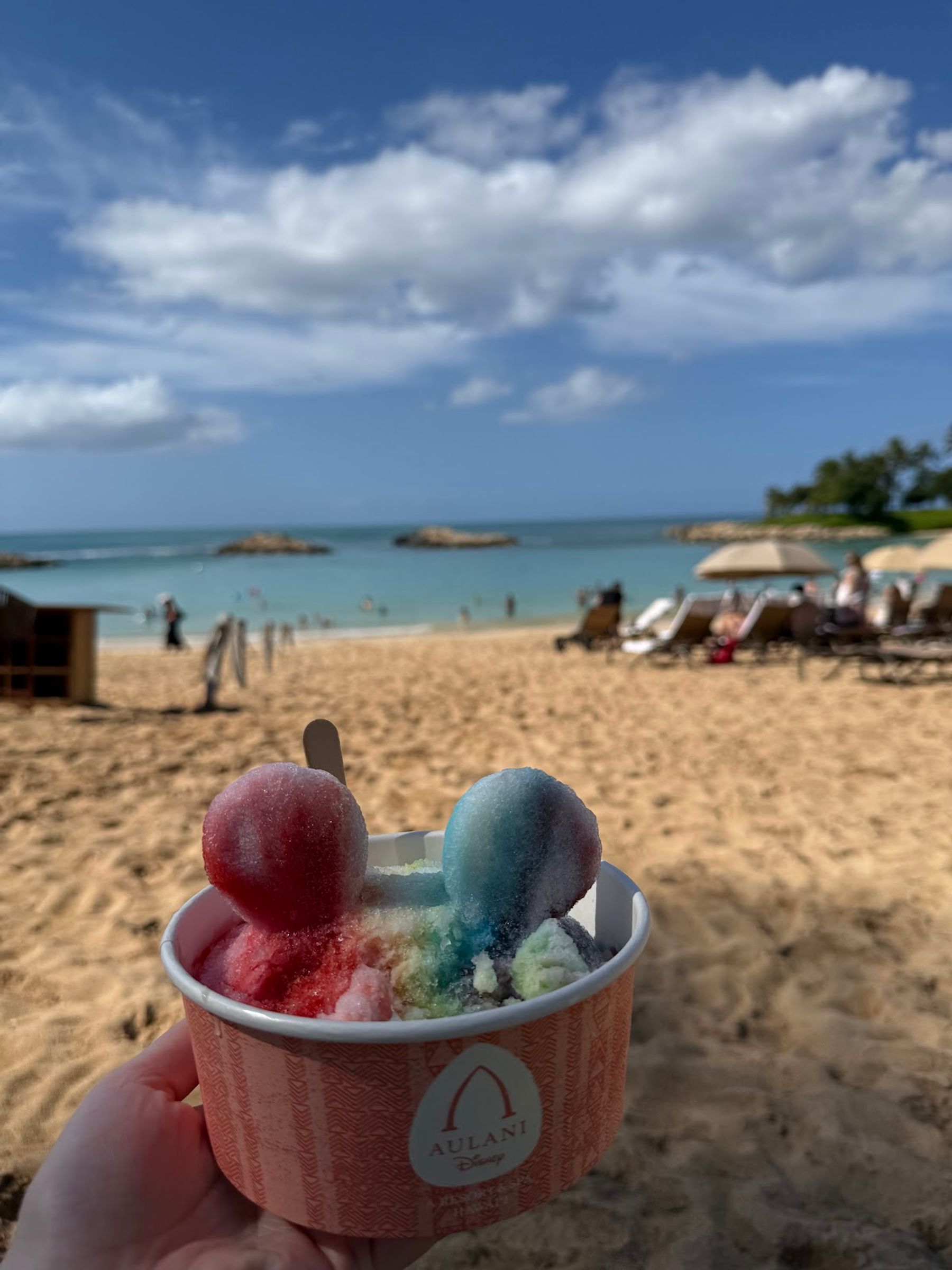 Photo 4 of Pāpālua Shave Ice in Ko Olina, Oahu