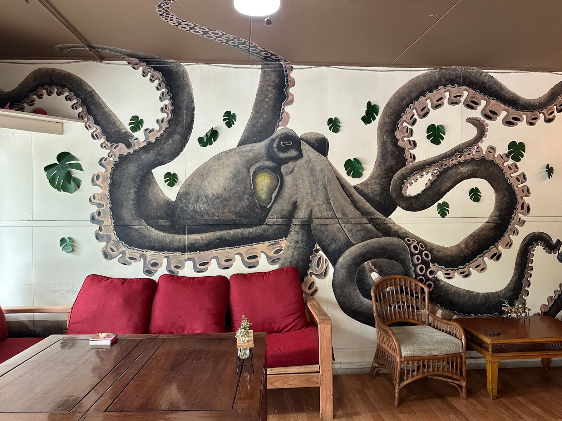 Photo 8 of Honua's Coffee House in South Point, Big Island
