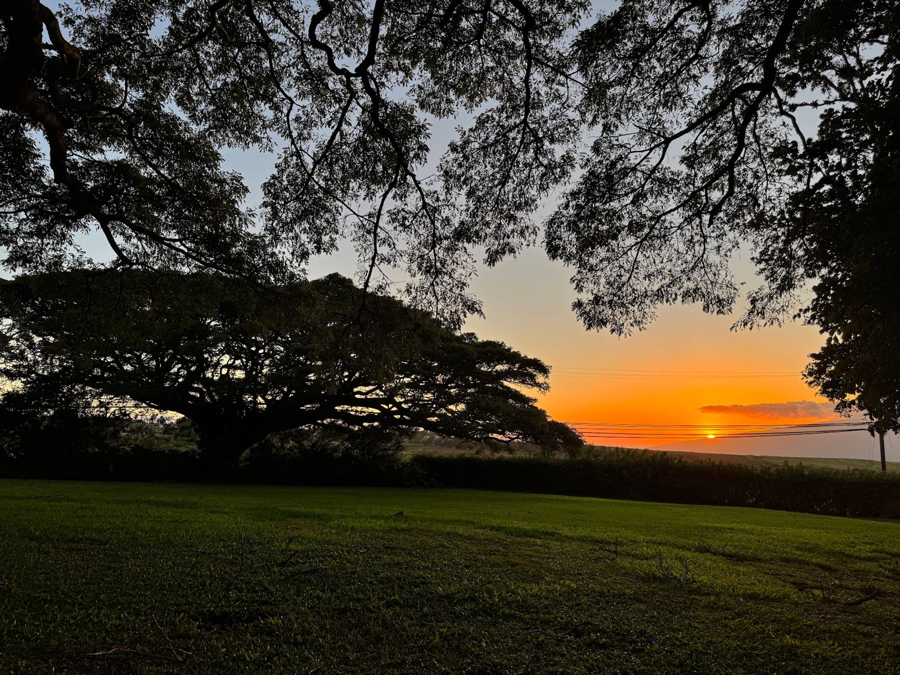 Photo 4 of Banyan Tree Bed and Breakfast in Makawao & Pukalani, Maui
