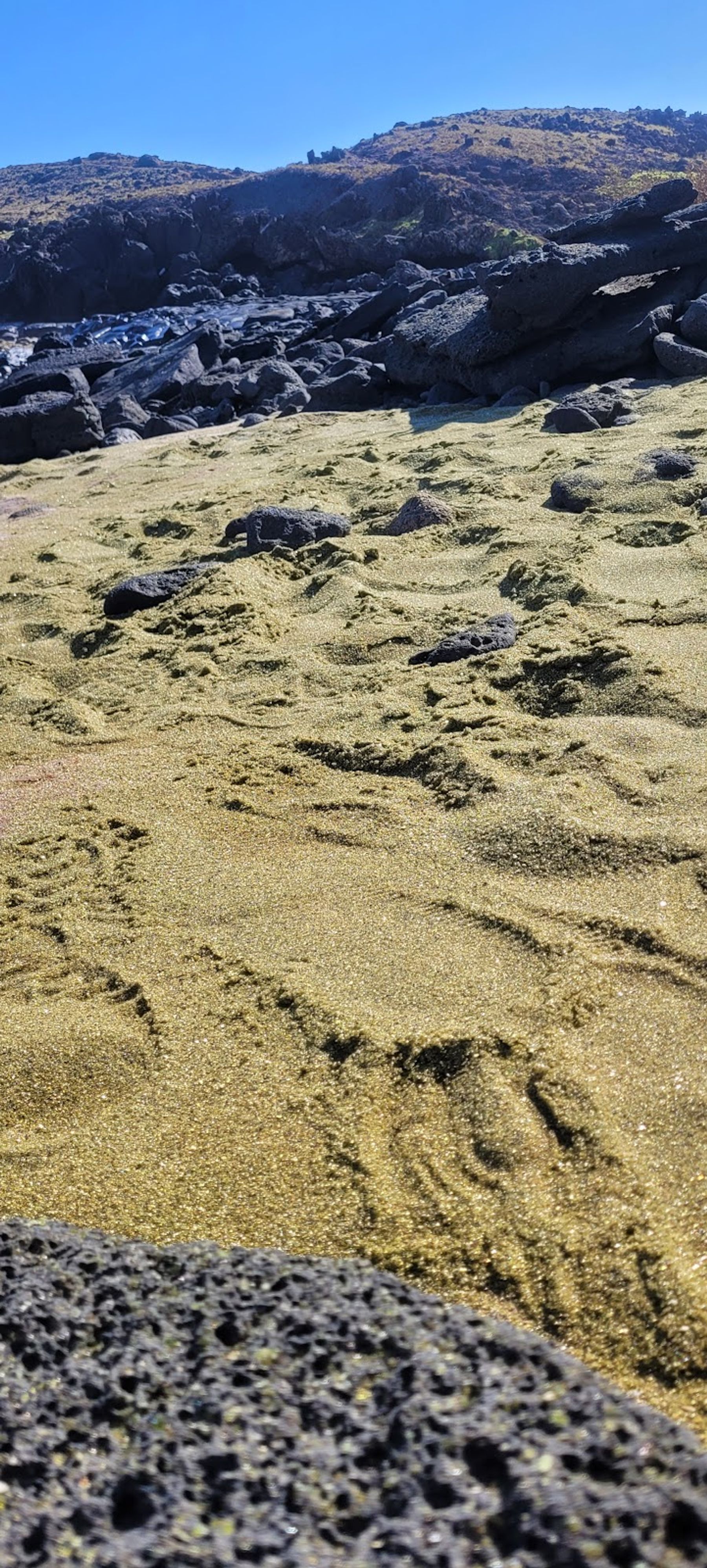 Photo 8 of Papakōlea Beach in South Point, Big Island