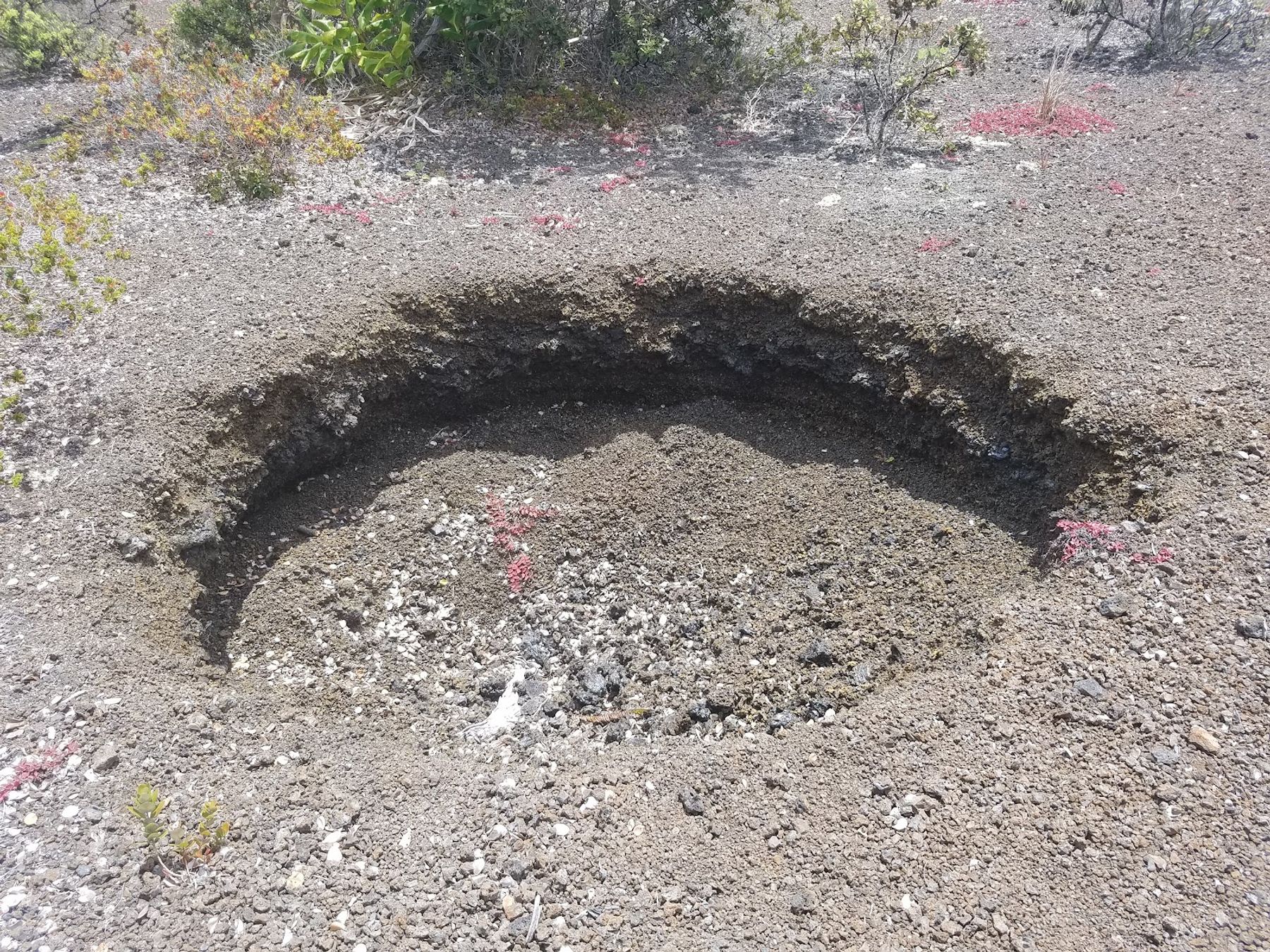 Photo 3 of Byron Ledge Trail in Volcano, Big Island