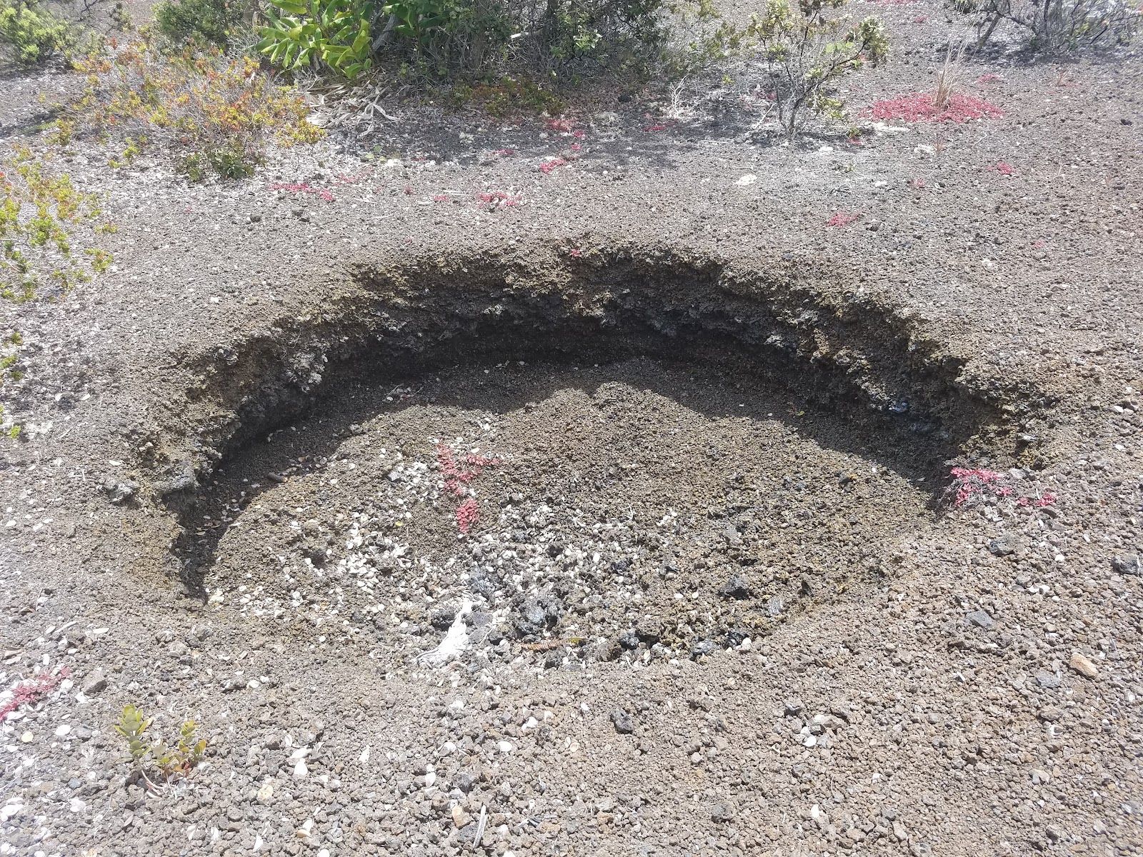 Photo 3 of Byron Ledge Trail in Volcano, Big Island