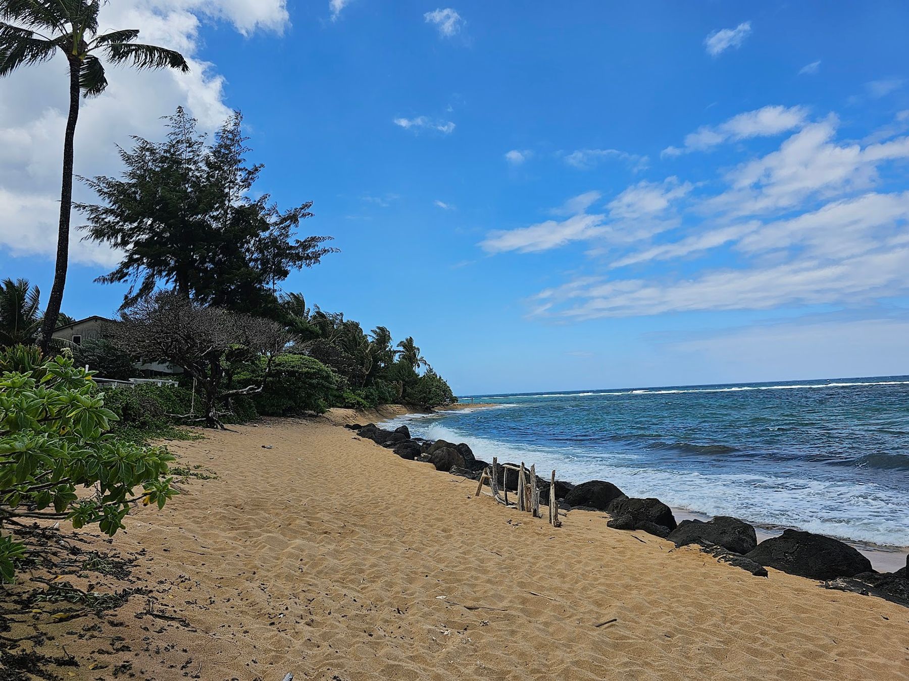 Photo 4 of NāPali Coffeehouse & Art Gallery in Hāʻena, Kauai