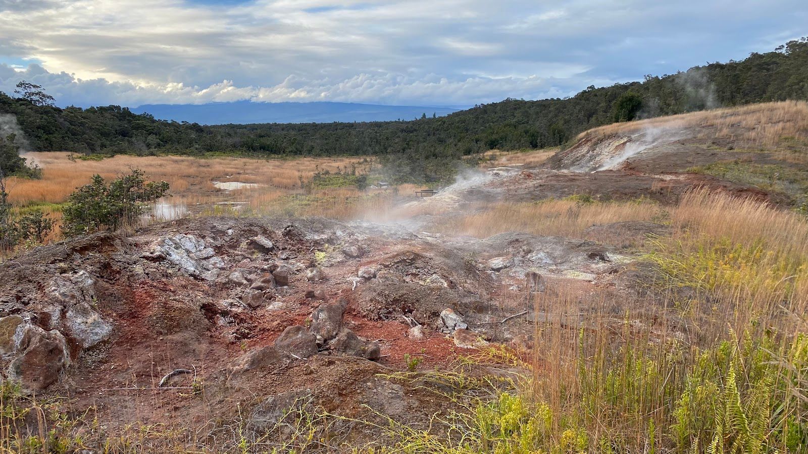 Photo 1 of Haʻakulamanu Sulphur Banks in Volcano, Big Island