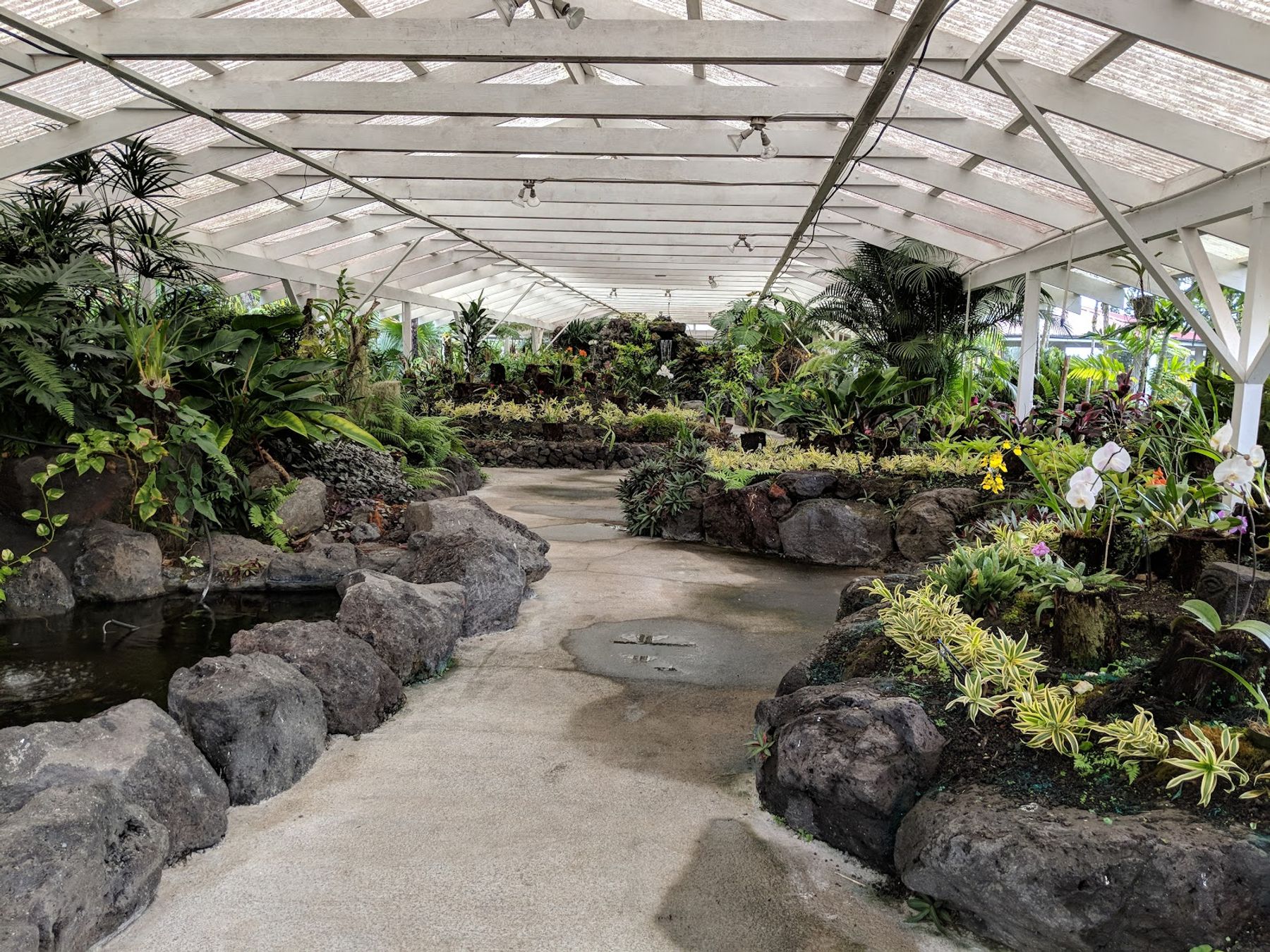 Photo 6 of Nani Mau Gardens and Event Space in Hilo, Big Island