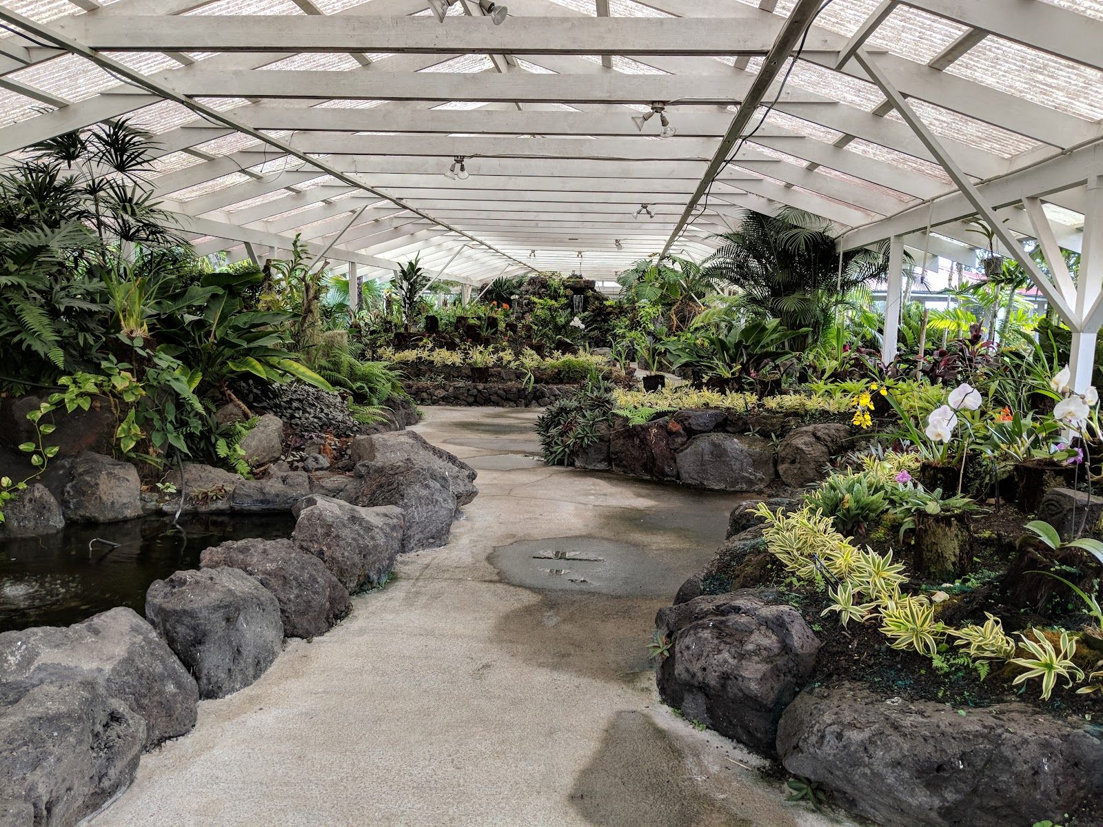 Photo 6 of Nani Mau Gardens and Event Space in Hilo, Big Island