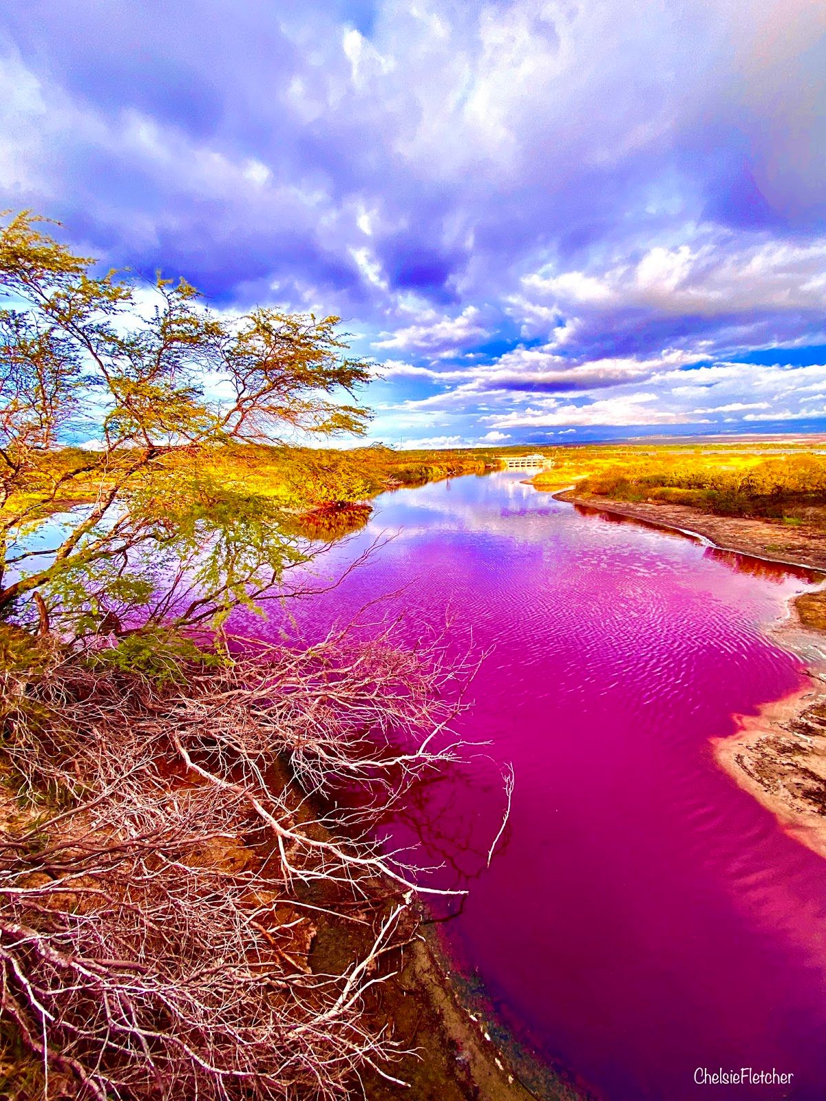 Photo 3 of Keālia Pond National Wildlife Refuge in Kīhei, Maui