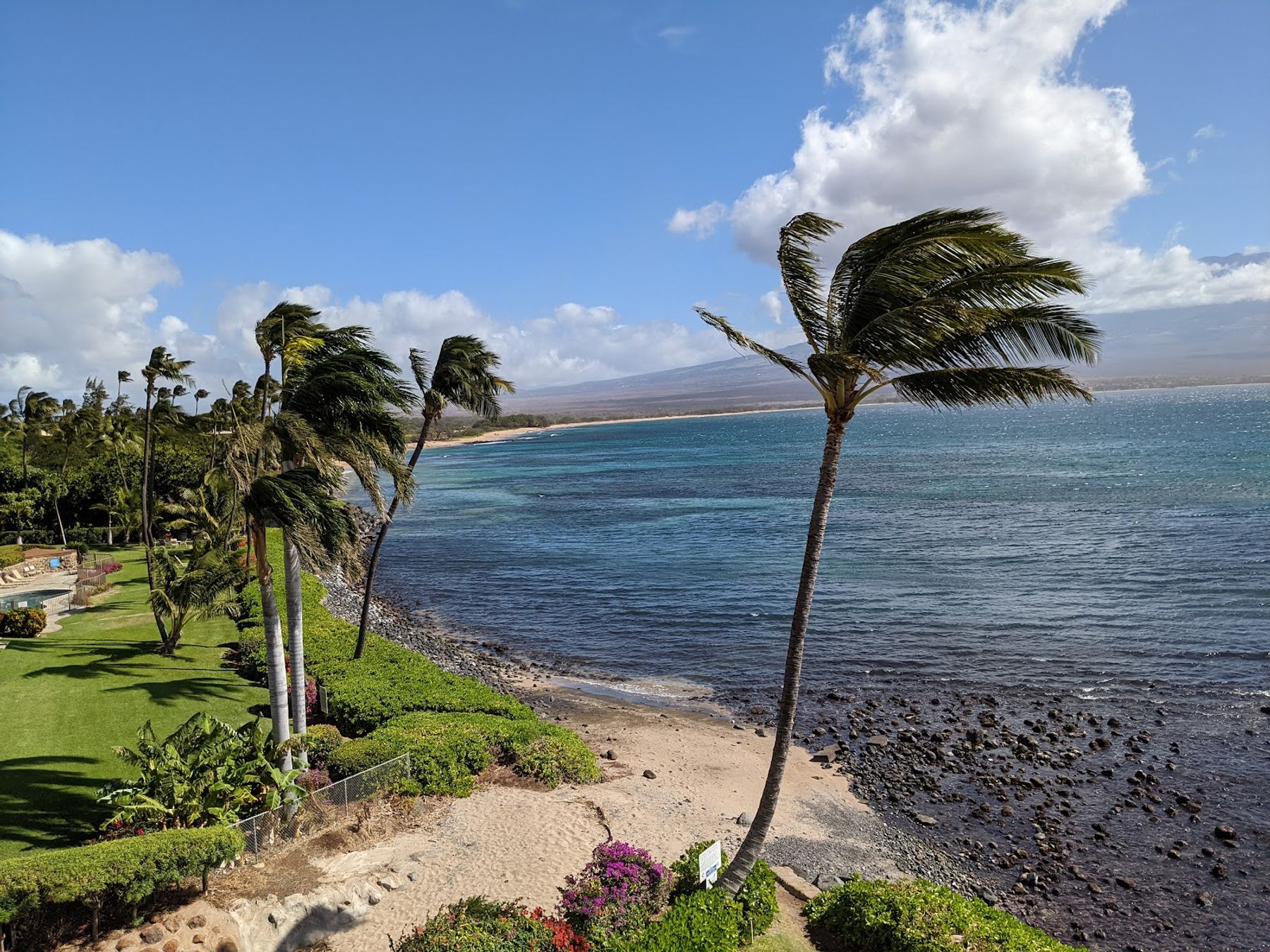 Photo 3 of Maui Island Sands Resort in Māʻalaea, Maui