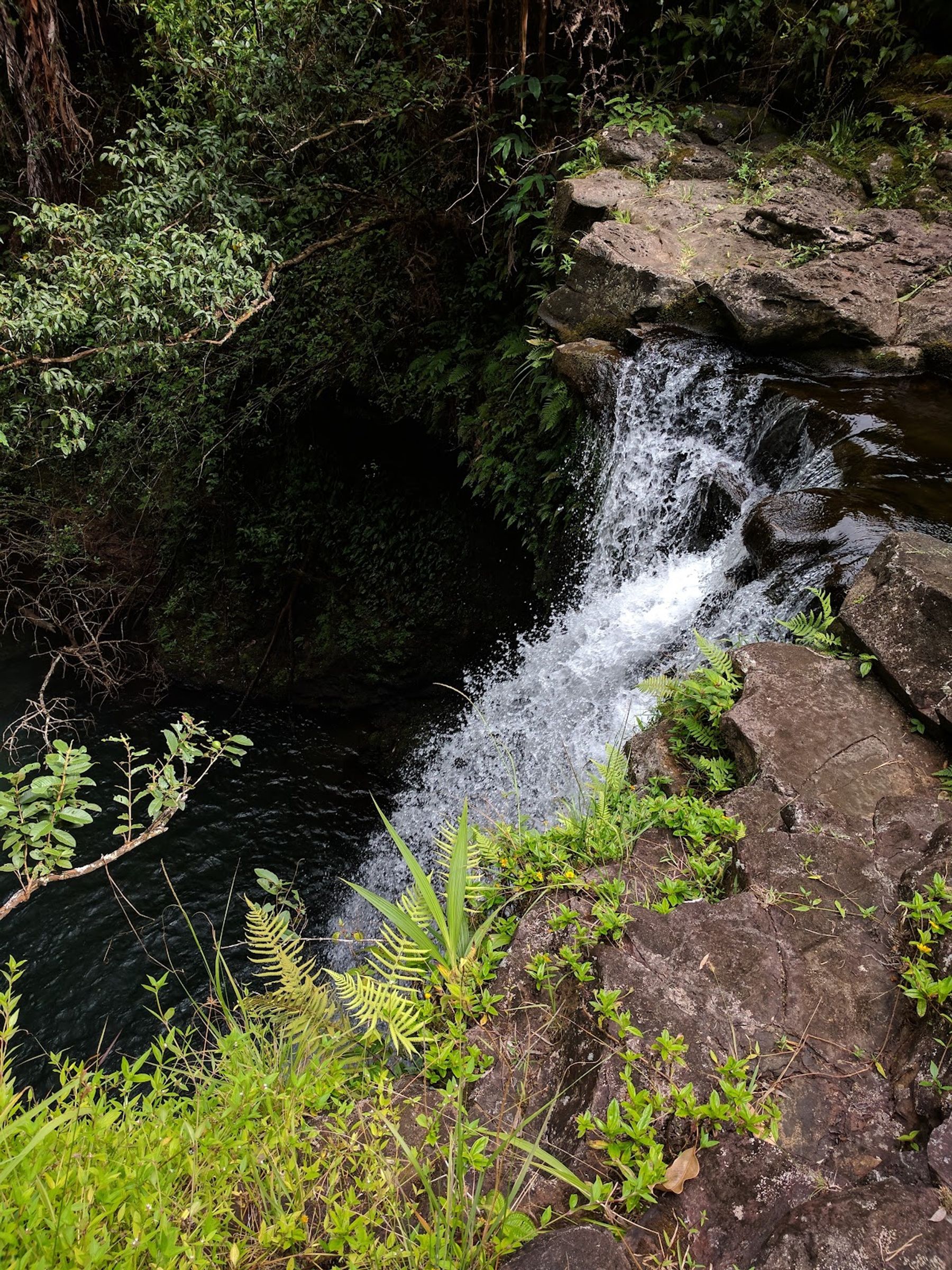 Photo 4 of Pua'a Ka'a State Wayside in Keʻanae-Nāhiku, Maui