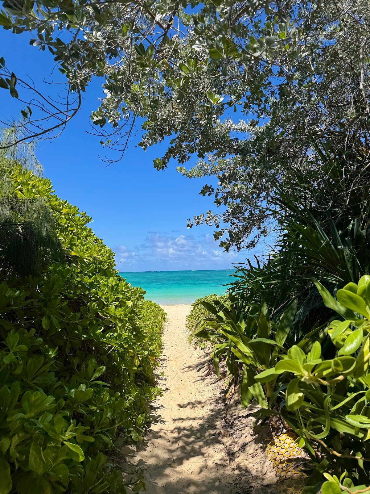 A sandy public access path opening through greenery onto Lanikai Beach.