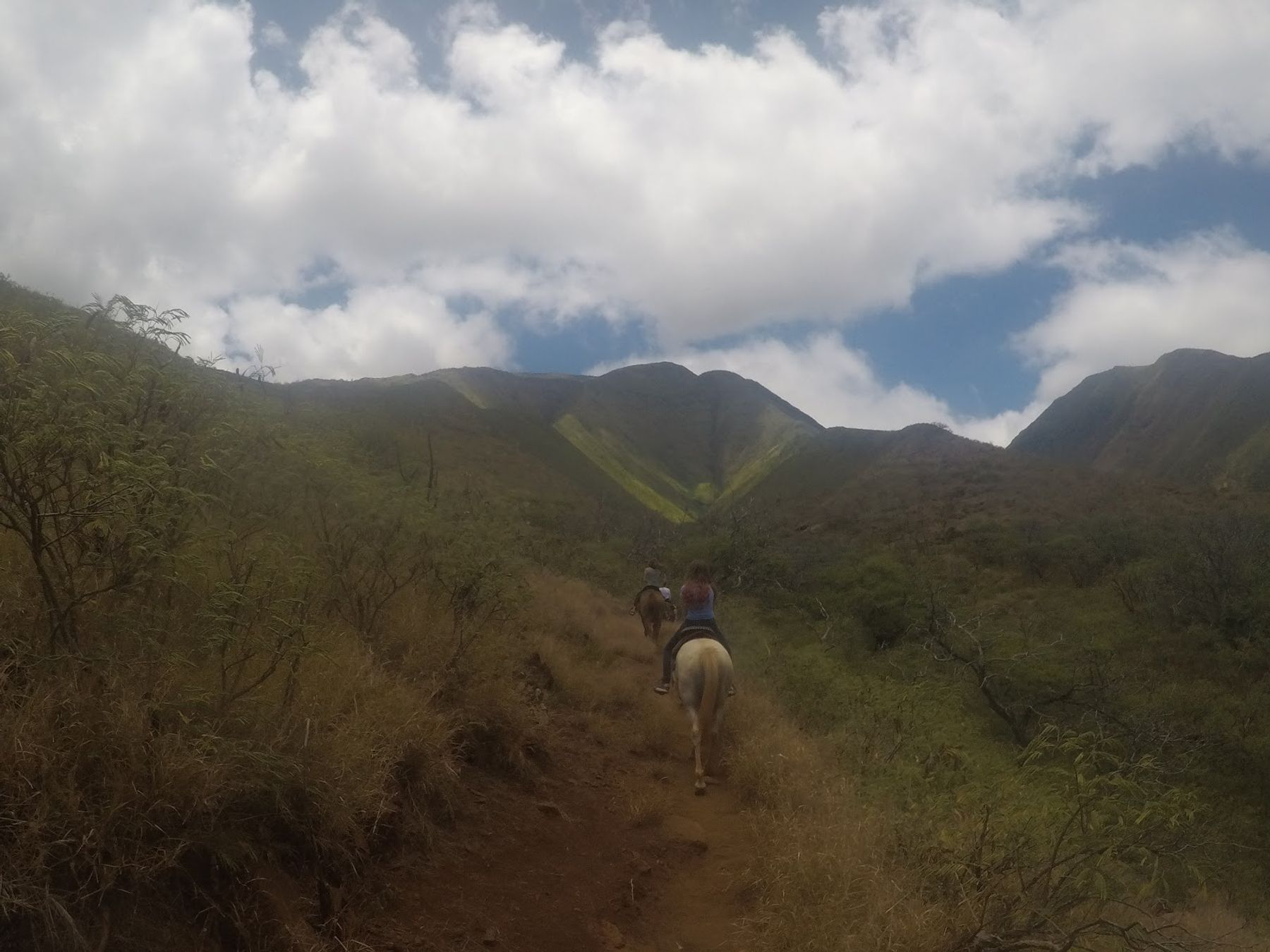 Photo 5 of Lahaina Stables in Lāhainā, Maui