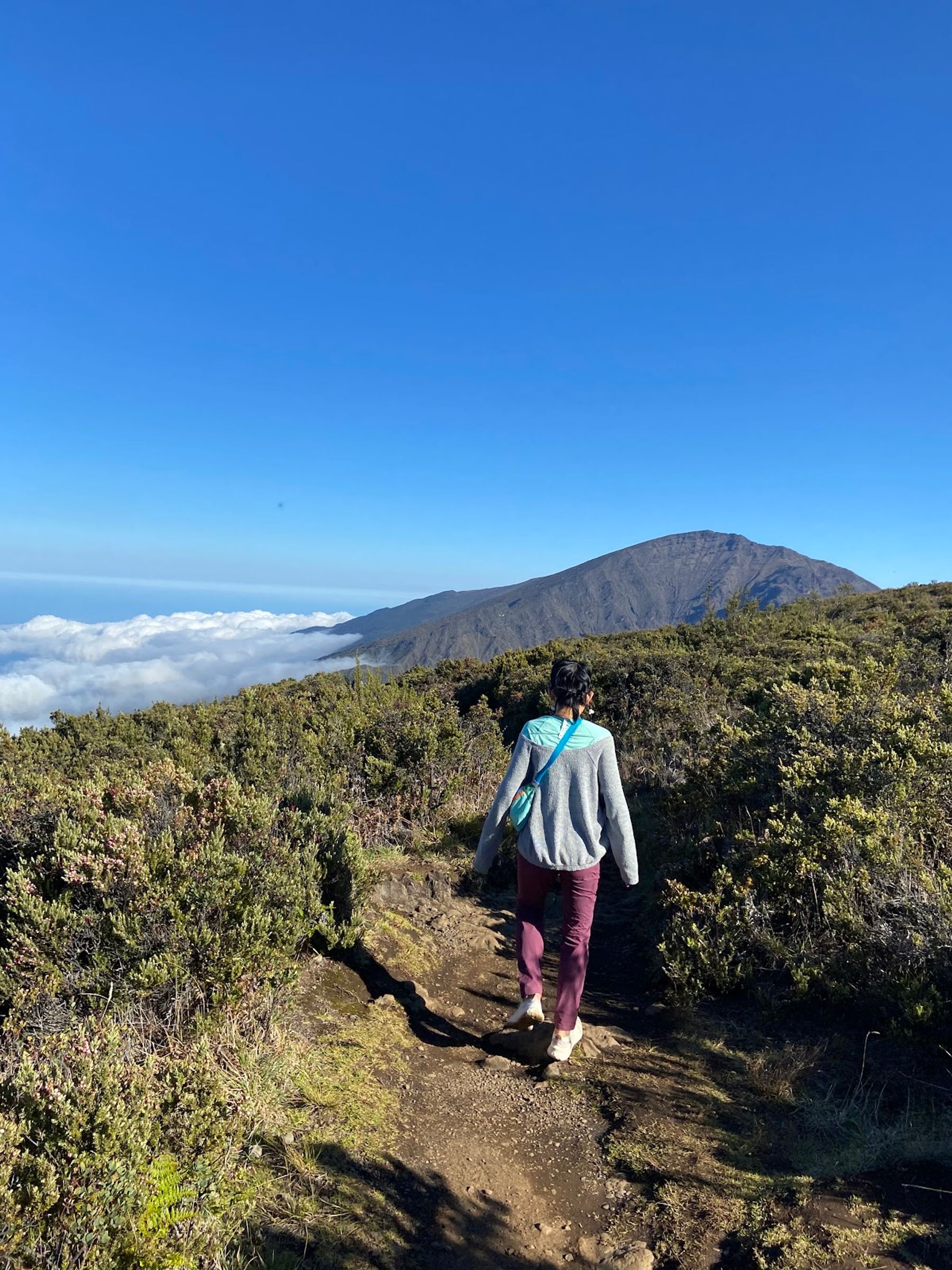 Photo 3 of Halemauʻu Trail in Kula, Maui