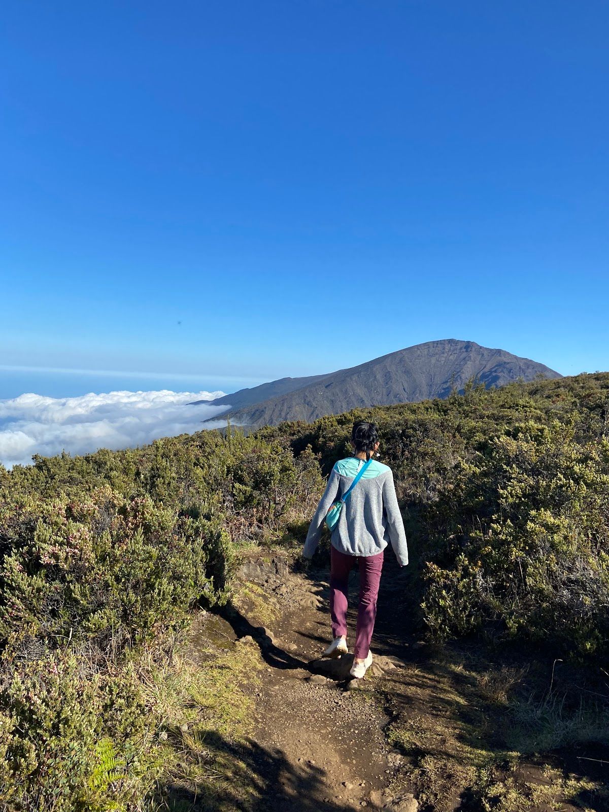 Photo 3 of Halemauʻu Trail in Kula, Maui
