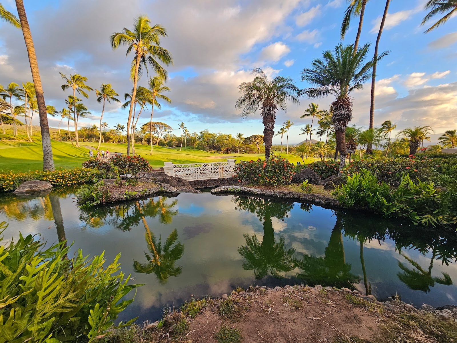 Photo 7 of Gather on Maui for Food + Drink in Wailea, Maui