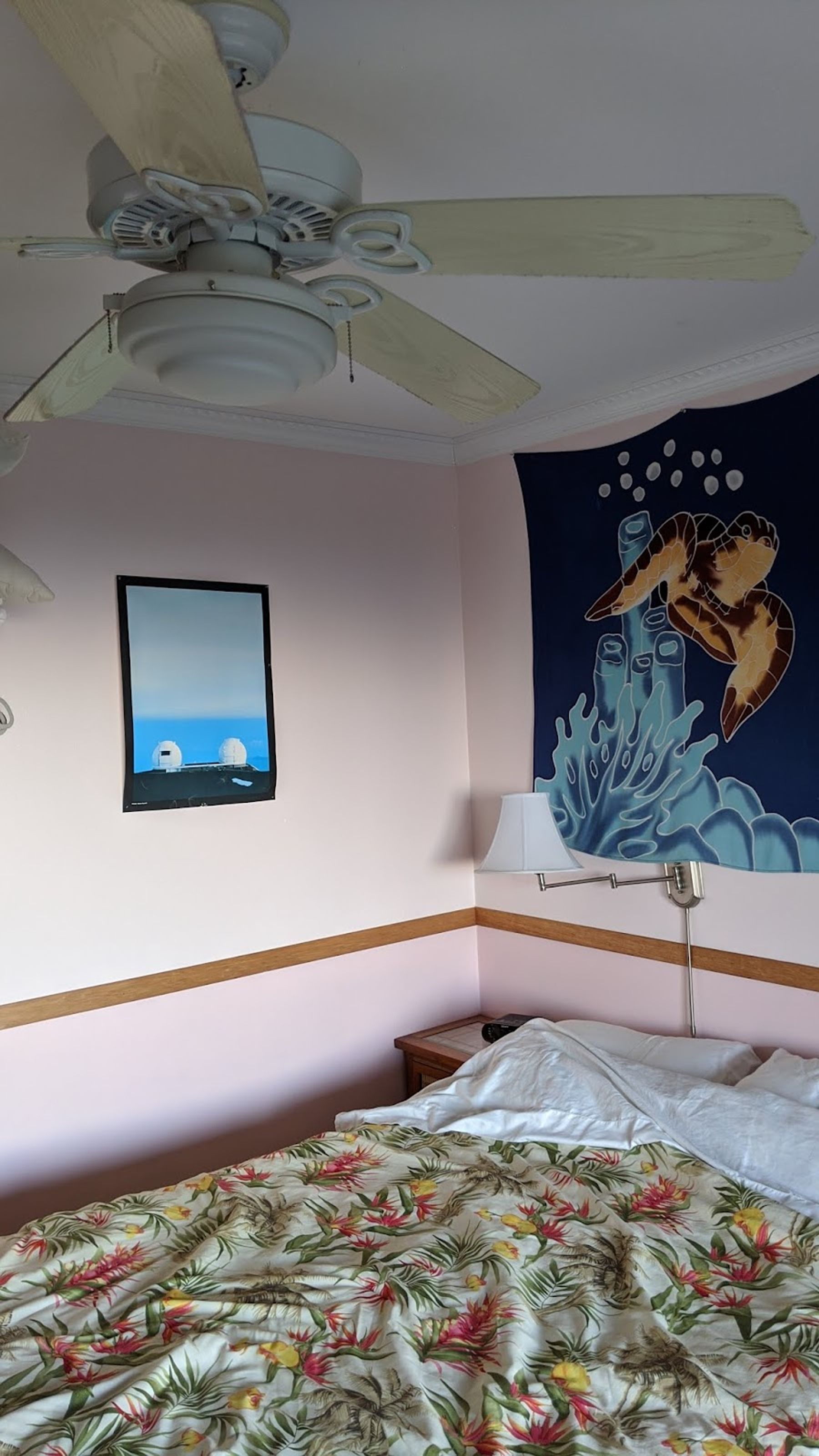 Photo 10 of Mango Sunset BnB Inn at Lyman Kona Coffee Farms in Hōlualoa, Big-island