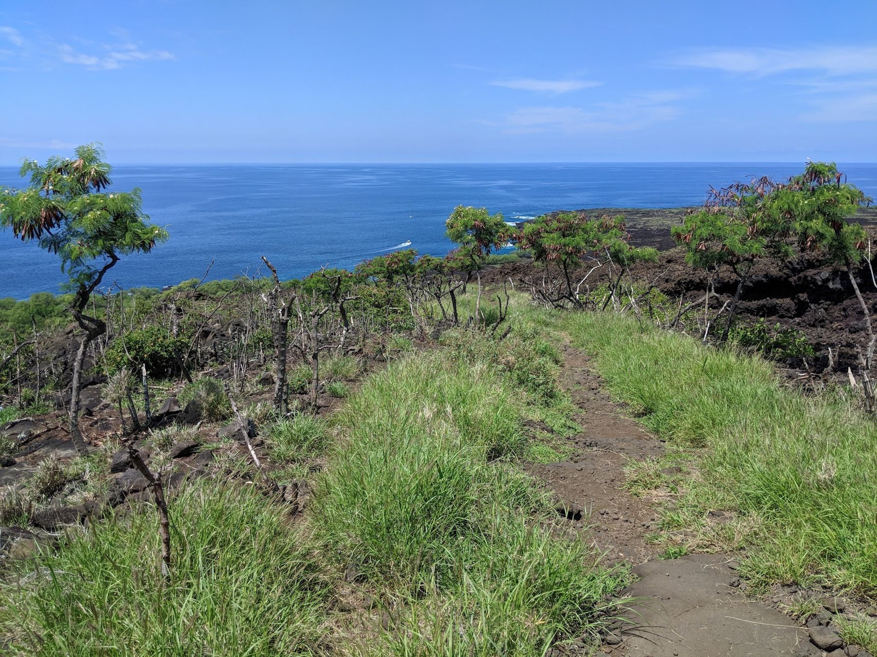 Photo 3 of Captain James Cook Monument in South Kona, Big Island
