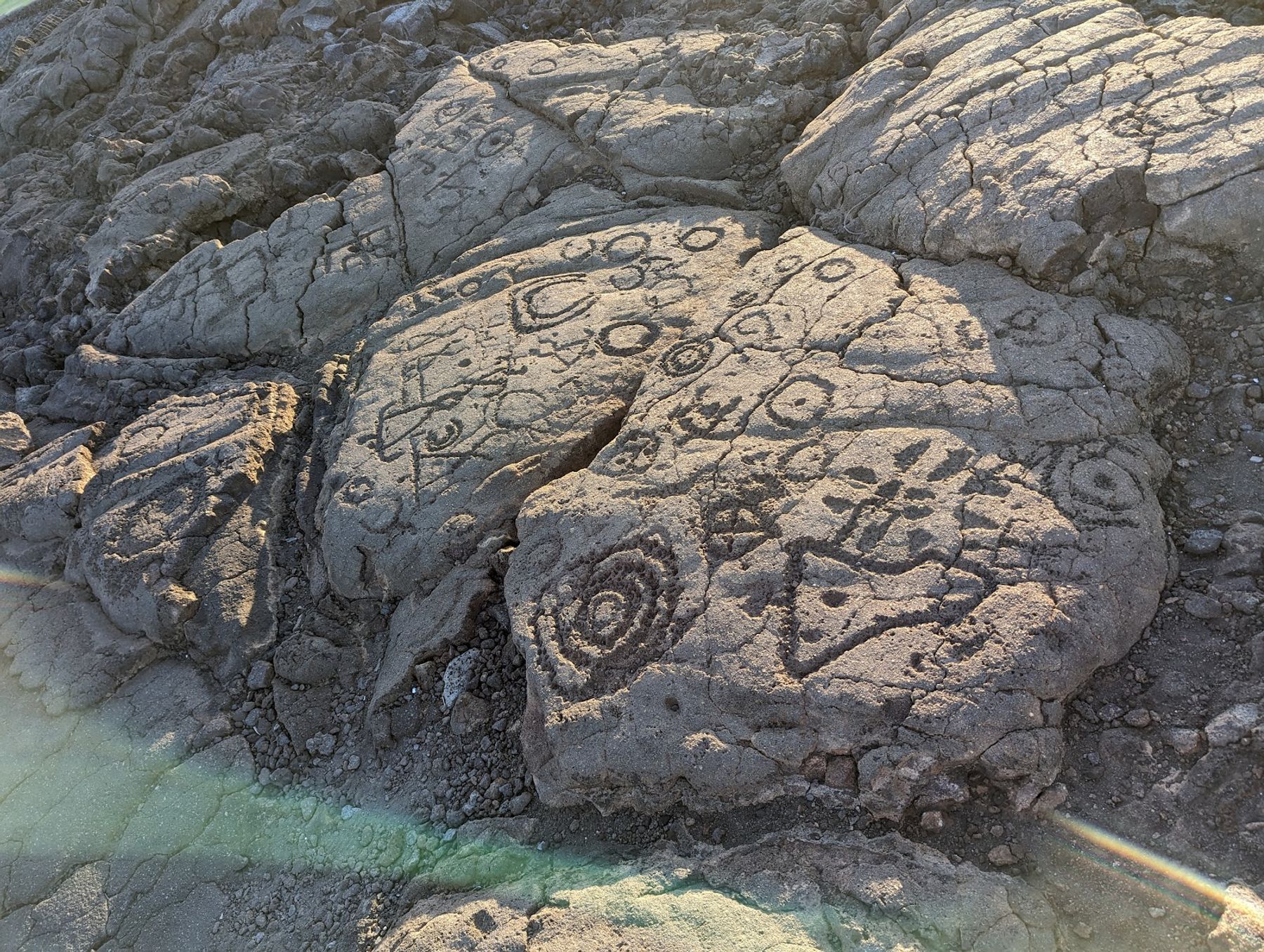 Photo 10 of Waikōloa Petroglyph Reserve in Waikoloa, Big Island
