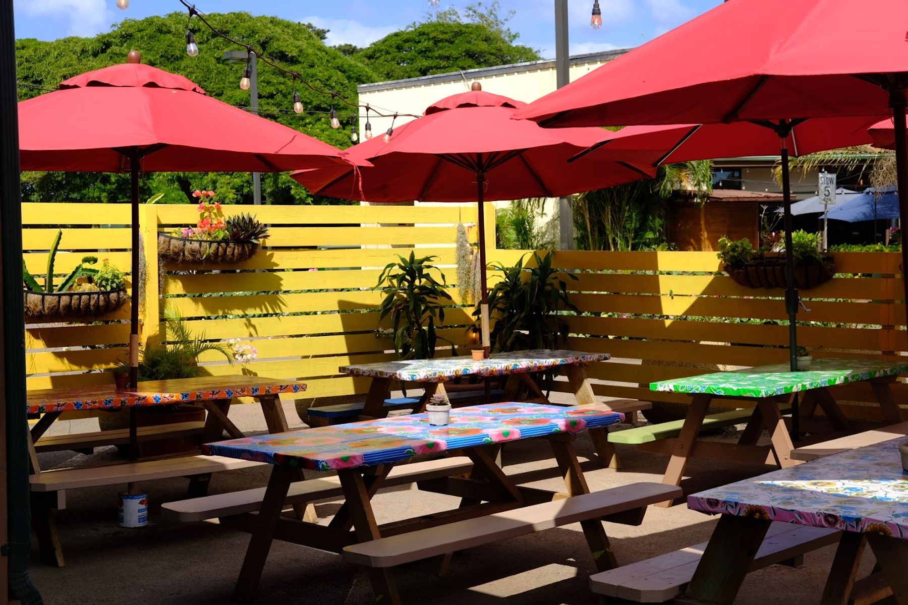 Photo 1 of Jorge's Mexican Restaurant & Bar in Haleʻiwa, Oahu