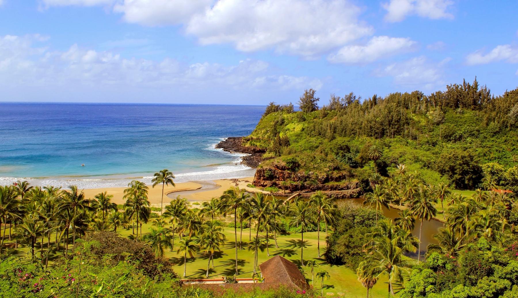 Overlook of a palm-filled garden beside a sandy beach, a winding stream, and a green rocky point above turquoise ocean water