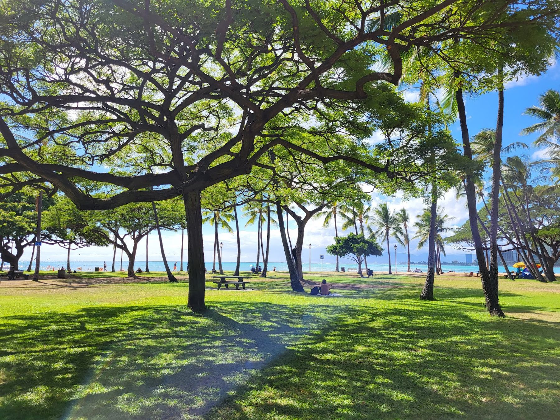Photo 7 of Sans Souci State Recreational Park in Diamond Head & Kapahulu, Oahu