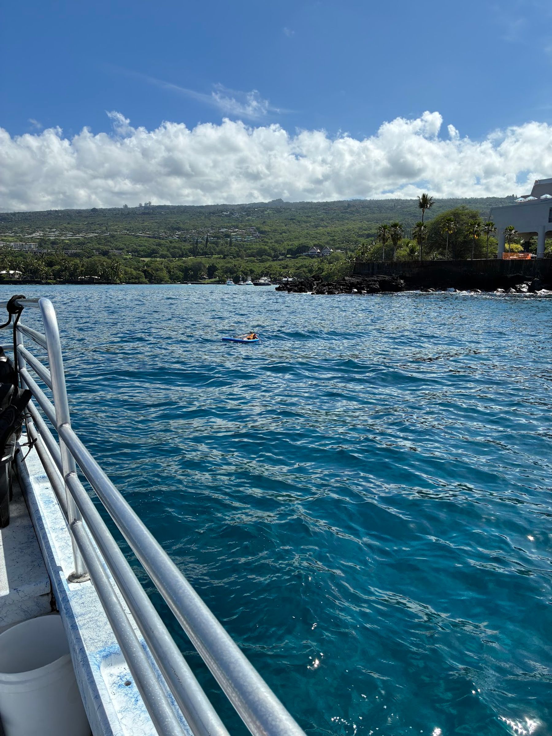 Photo 10 of Snorkel Big Island in Kailua-Kona, Big Island