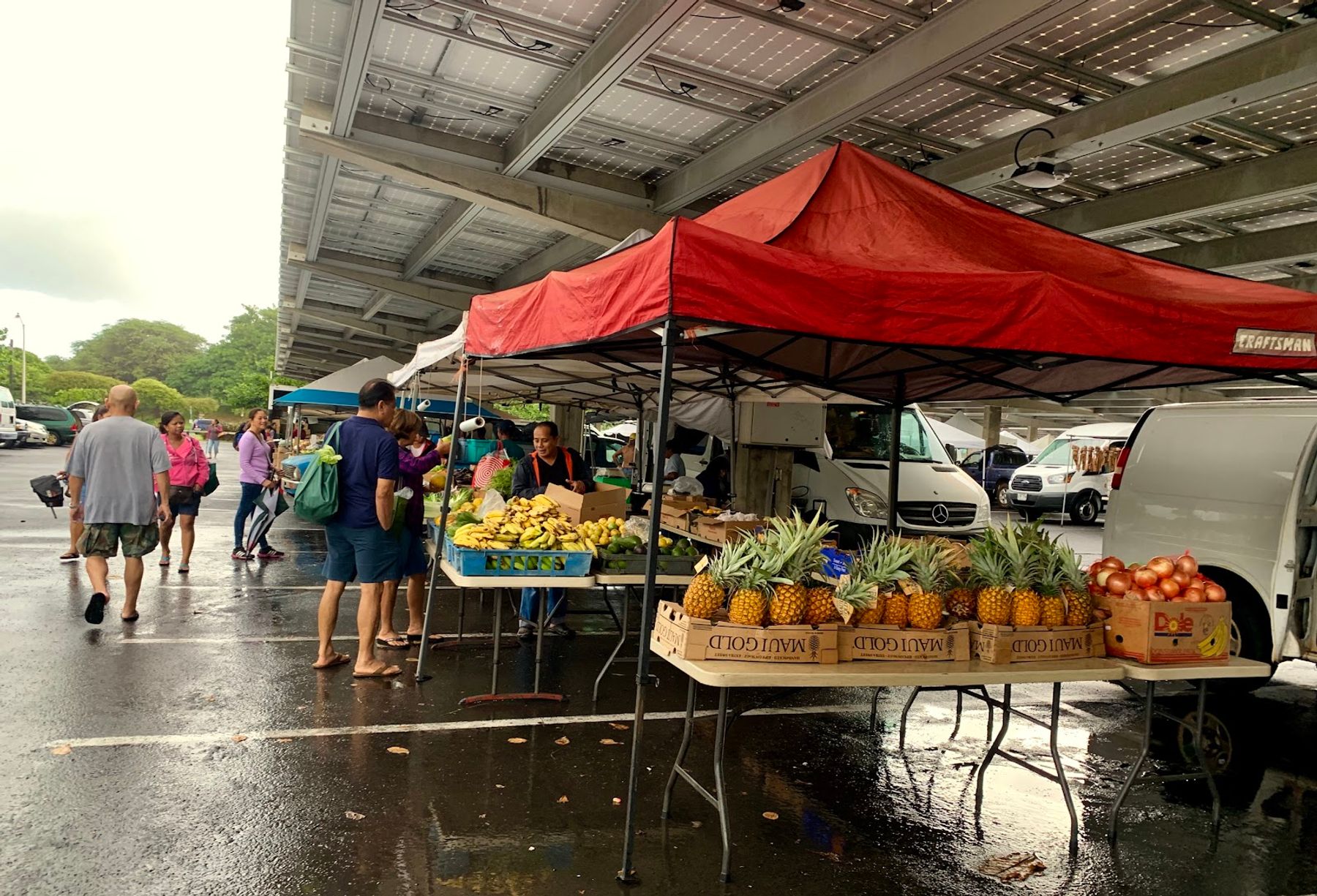 Photo 2 of Maui Swap Meet in Kahului, Maui