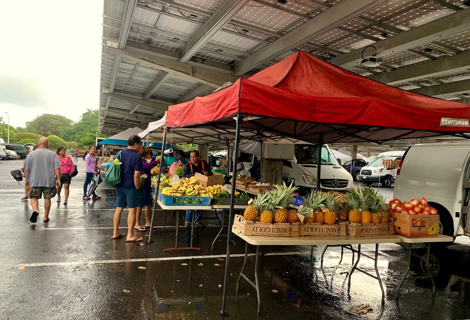 Photo 2 of Maui Swap Meet in Kahului, Maui